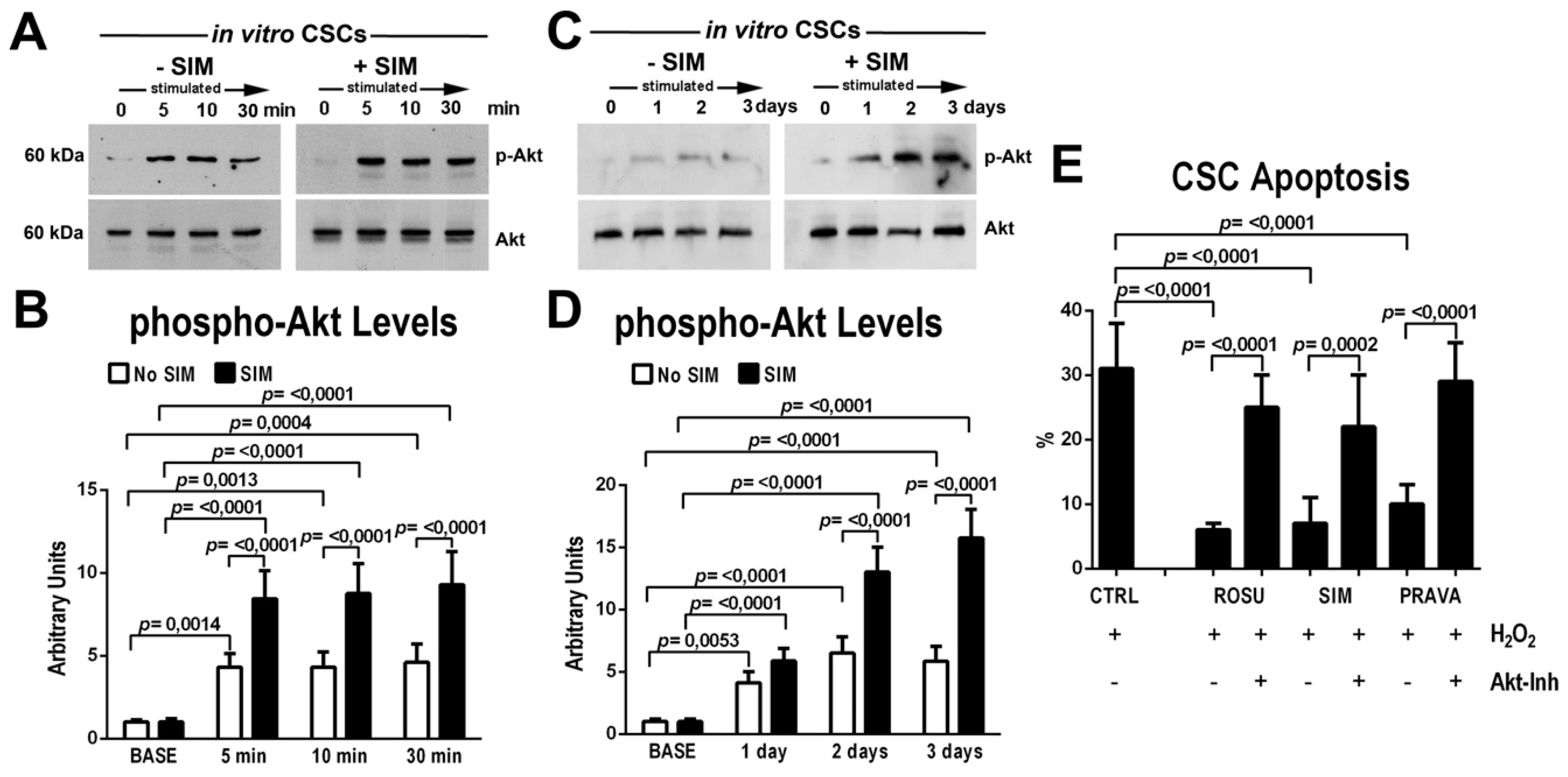 Ijms 21 07927 g002 Ijms 21 07927 g002