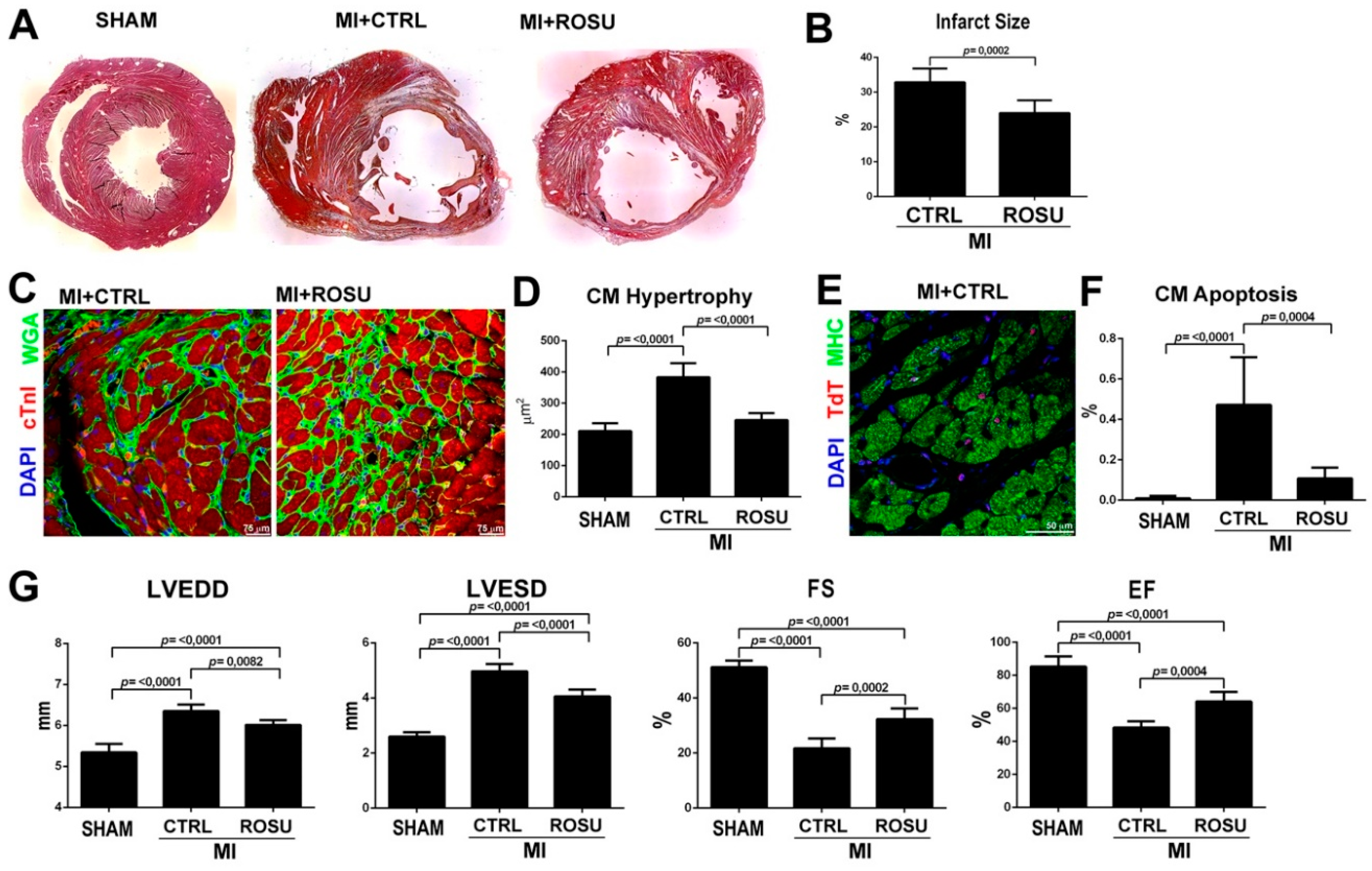 Ijms 21 07927 g004 Ijms 21 07927 g004