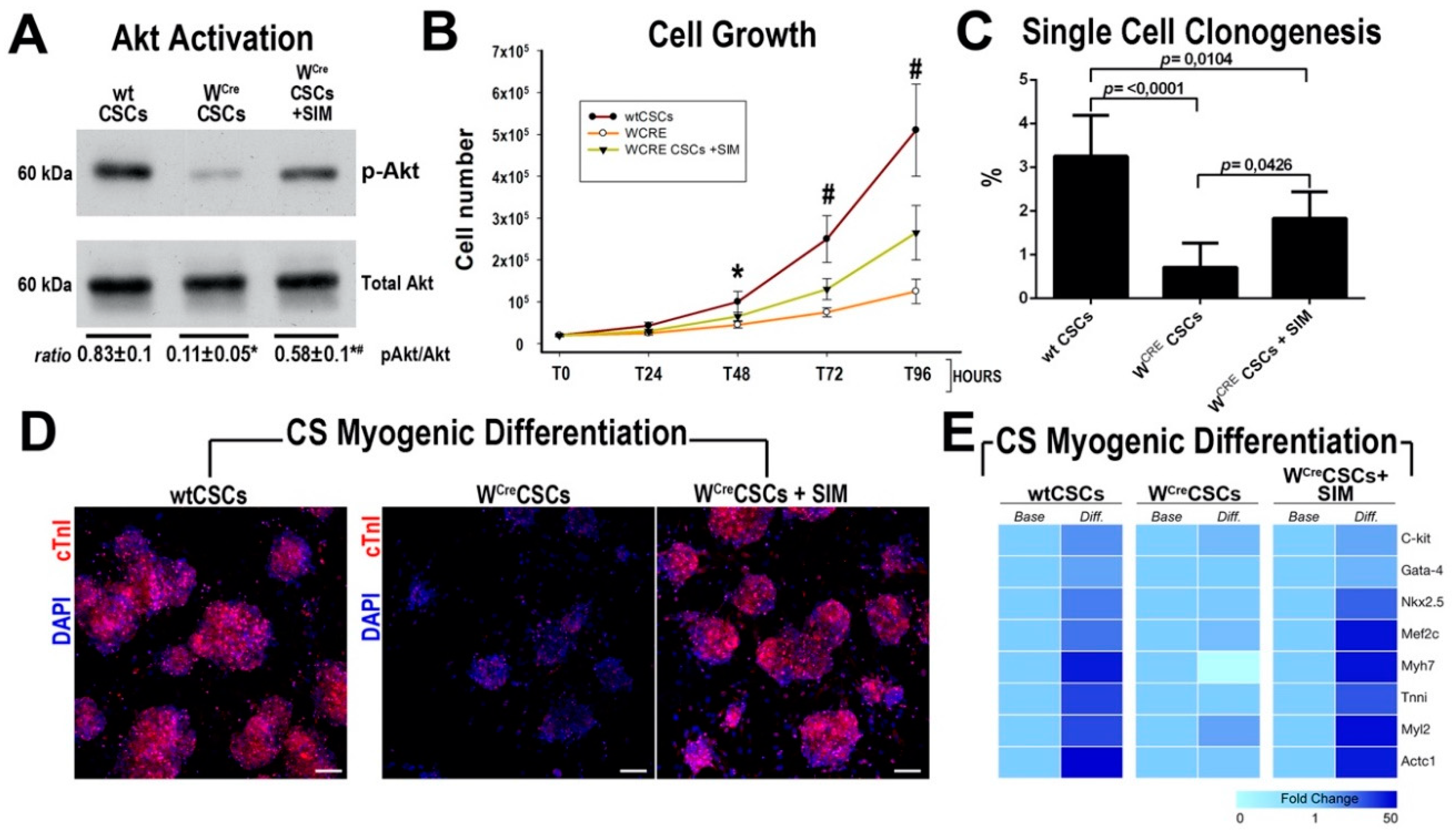 Ijms 21 07927 g006 Ijms 21 07927 g006