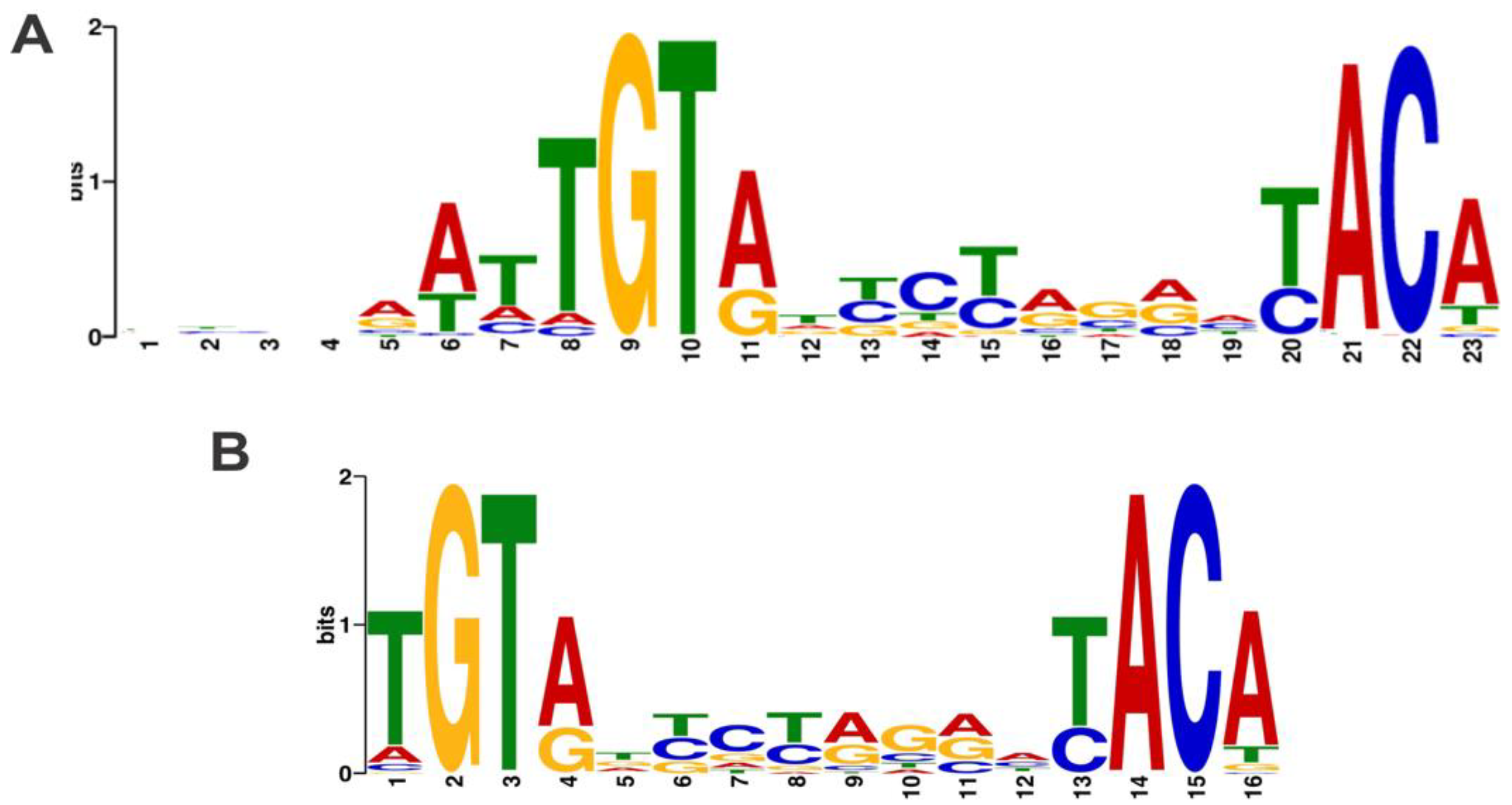 Ijms 21 07929 g003 Ijms 21 07929 g003