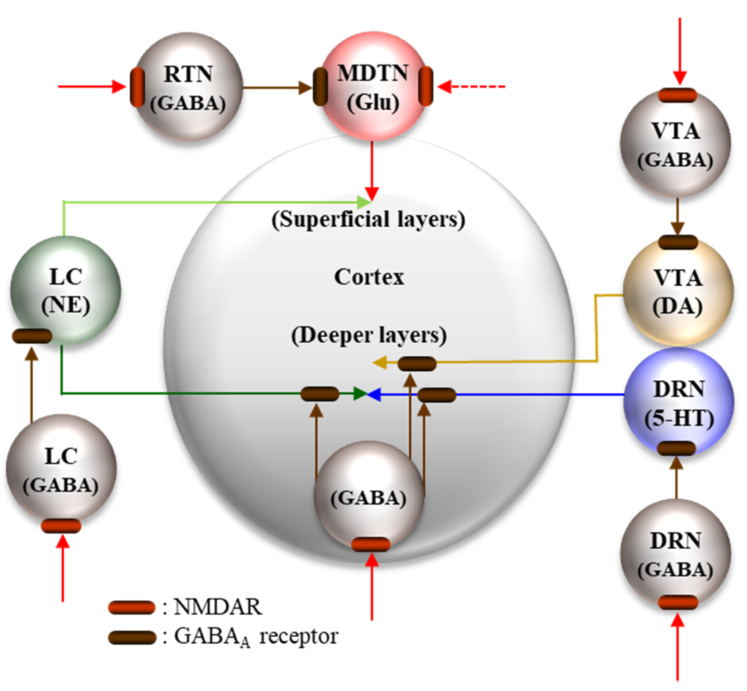 SciELO - Brazil - Does mismatch negativity have utility for NMDA receptor  drug development in depression? Does mismatch negativity have utility for  NMDA receptor drug development in depression?