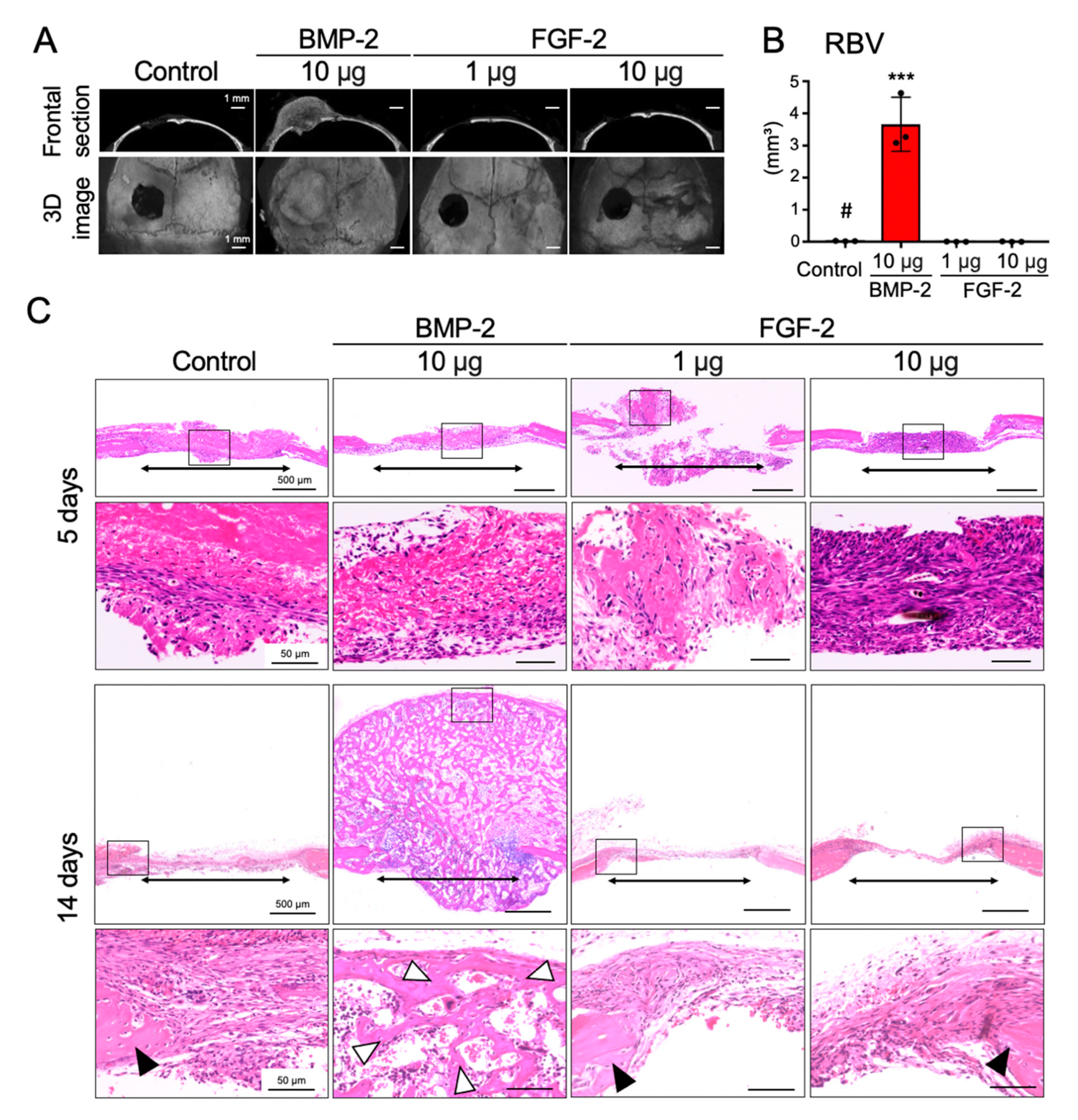 Ijms 21 07967 g001 Ijms 21 07967 g001