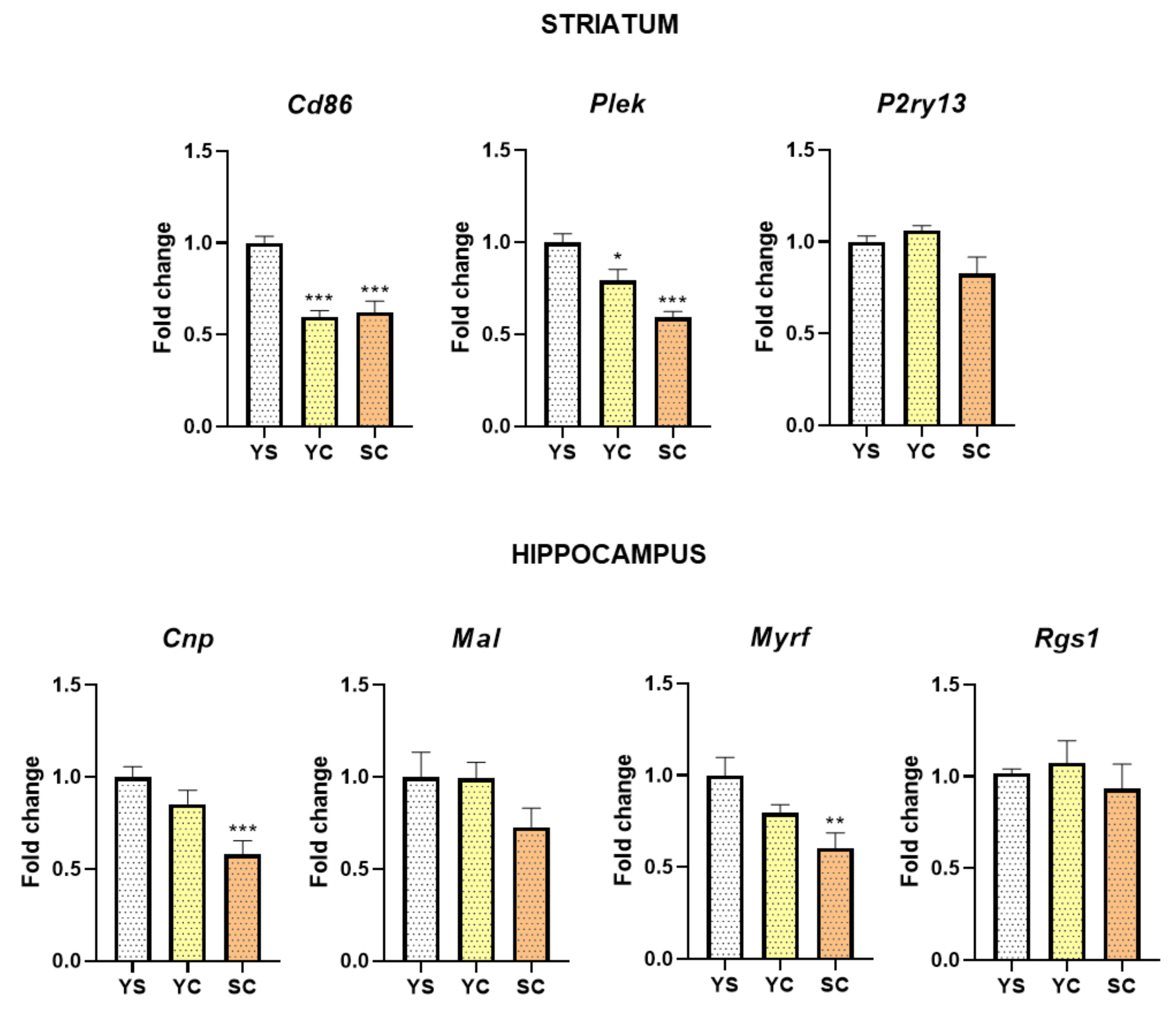 Ijms 21 07970 g002 Ijms 21 07970 g002