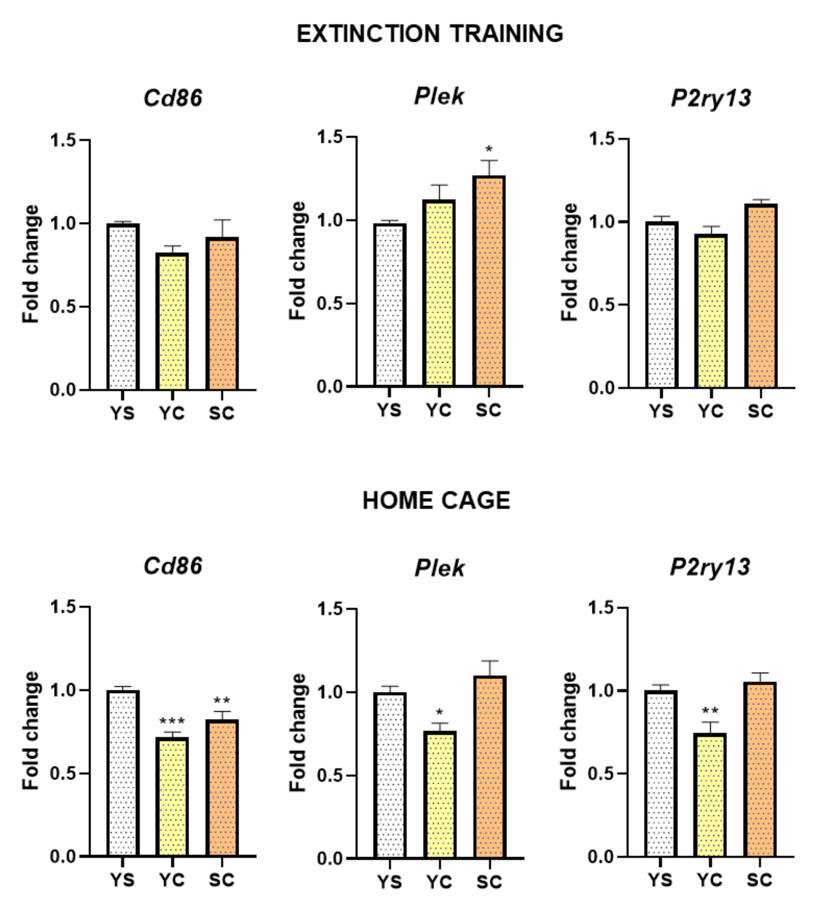 Ijms 21 07970 g003 Ijms 21 07970 g003
