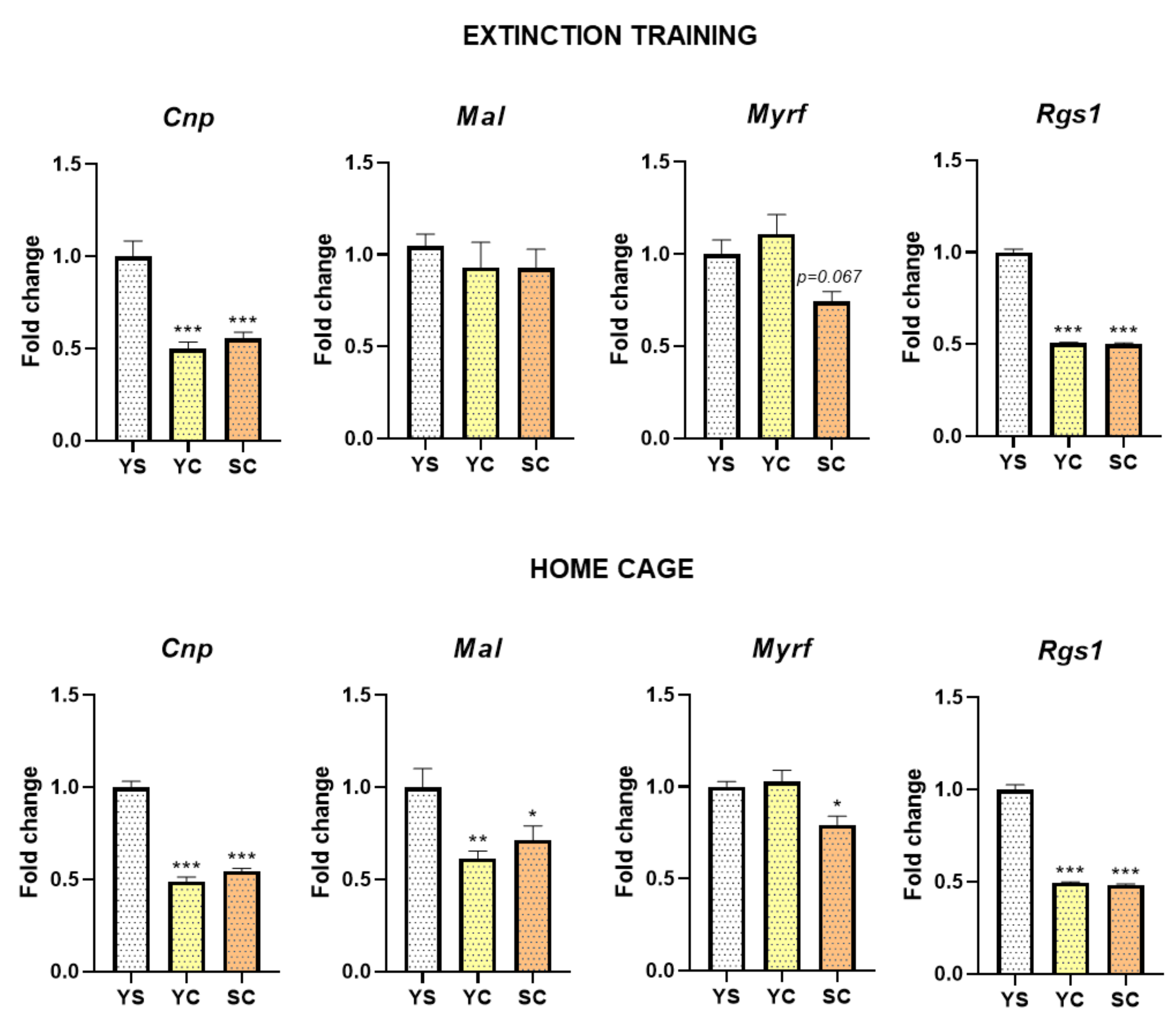 Ijms 21 07970 g004 Ijms 21 07970 g004