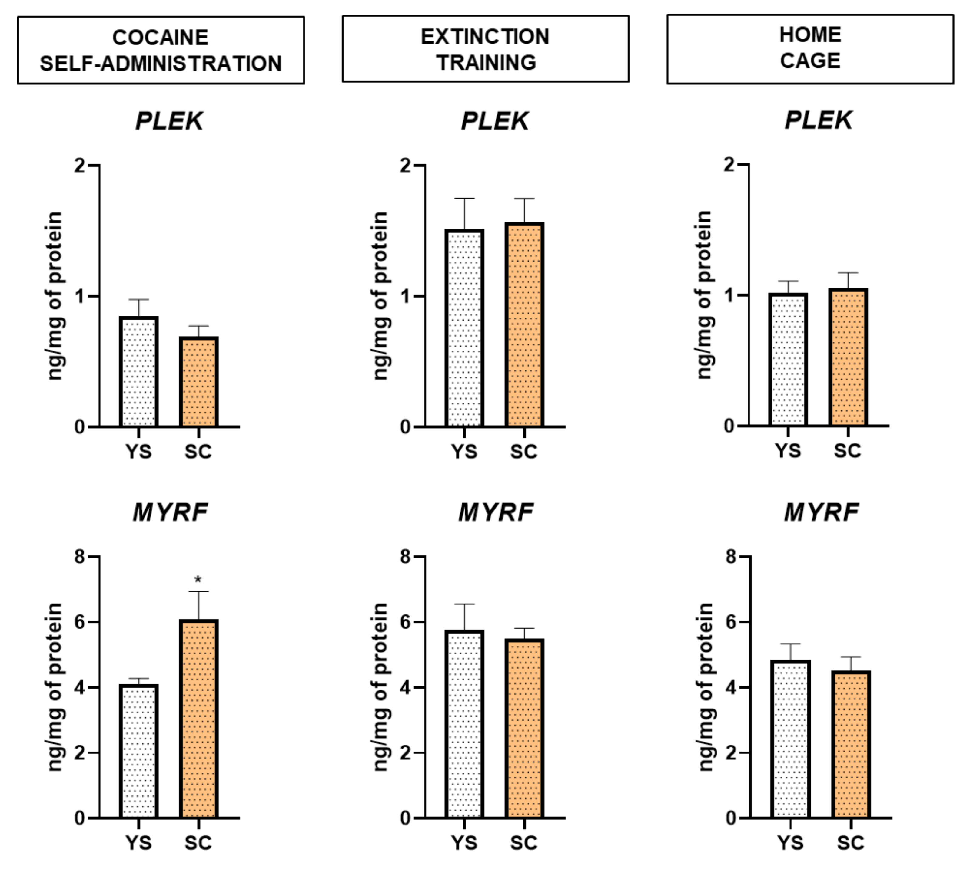 Ijms 21 07970 g005 Ijms 21 07970 g005