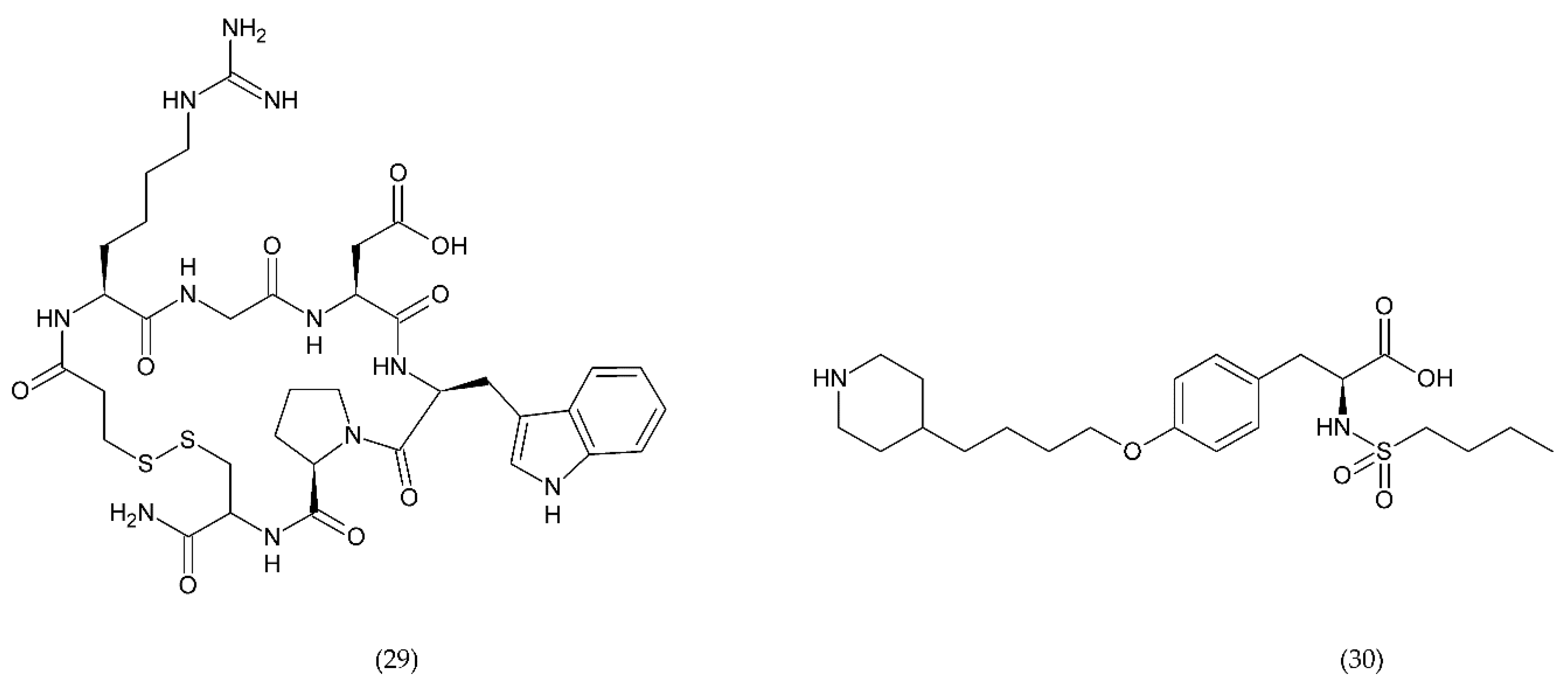 Ijms 21 07975 g011 Ijms 21 07975 g011
