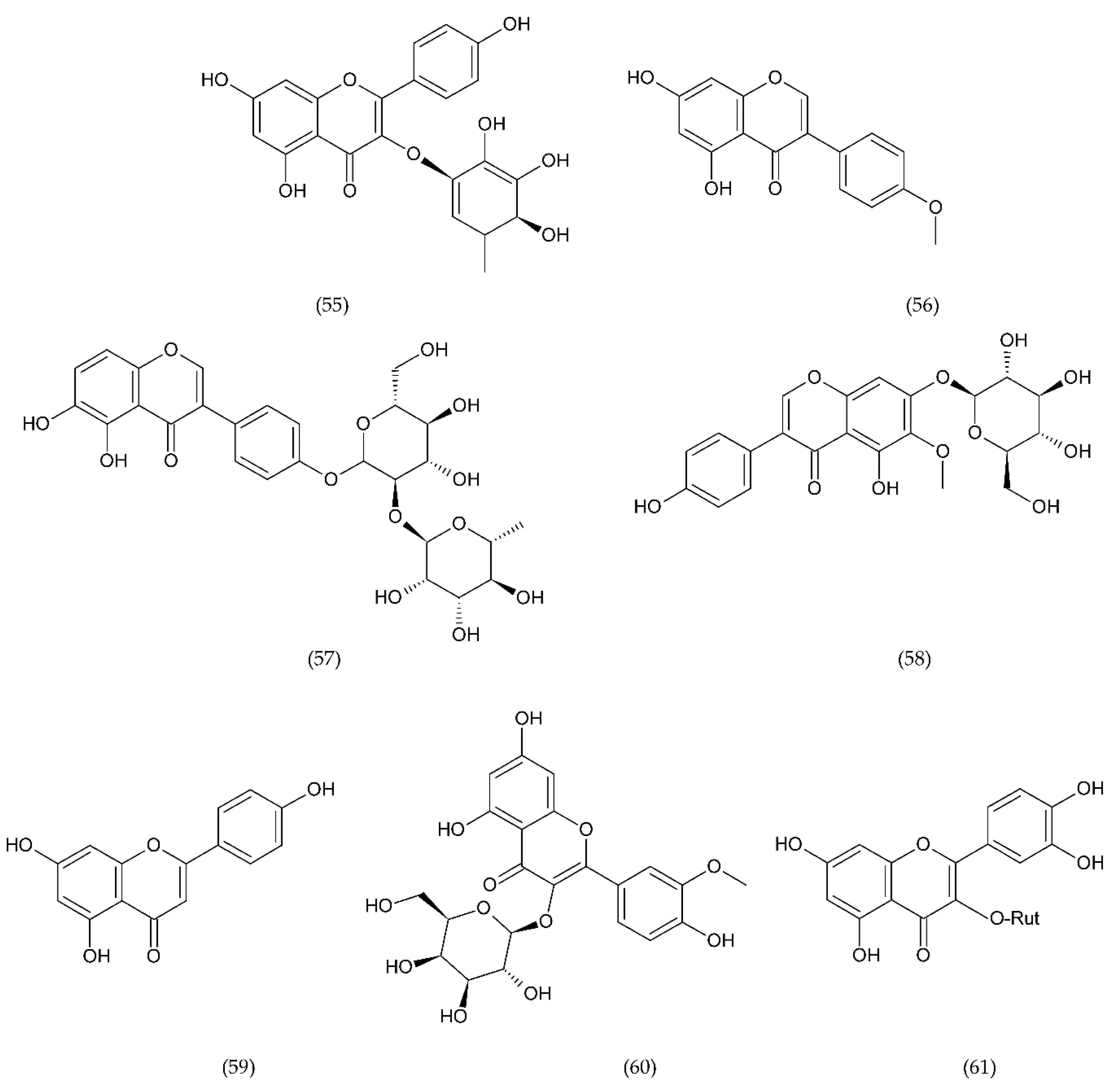 Ijms 21 07975 g018 Ijms 21 07975 g018
