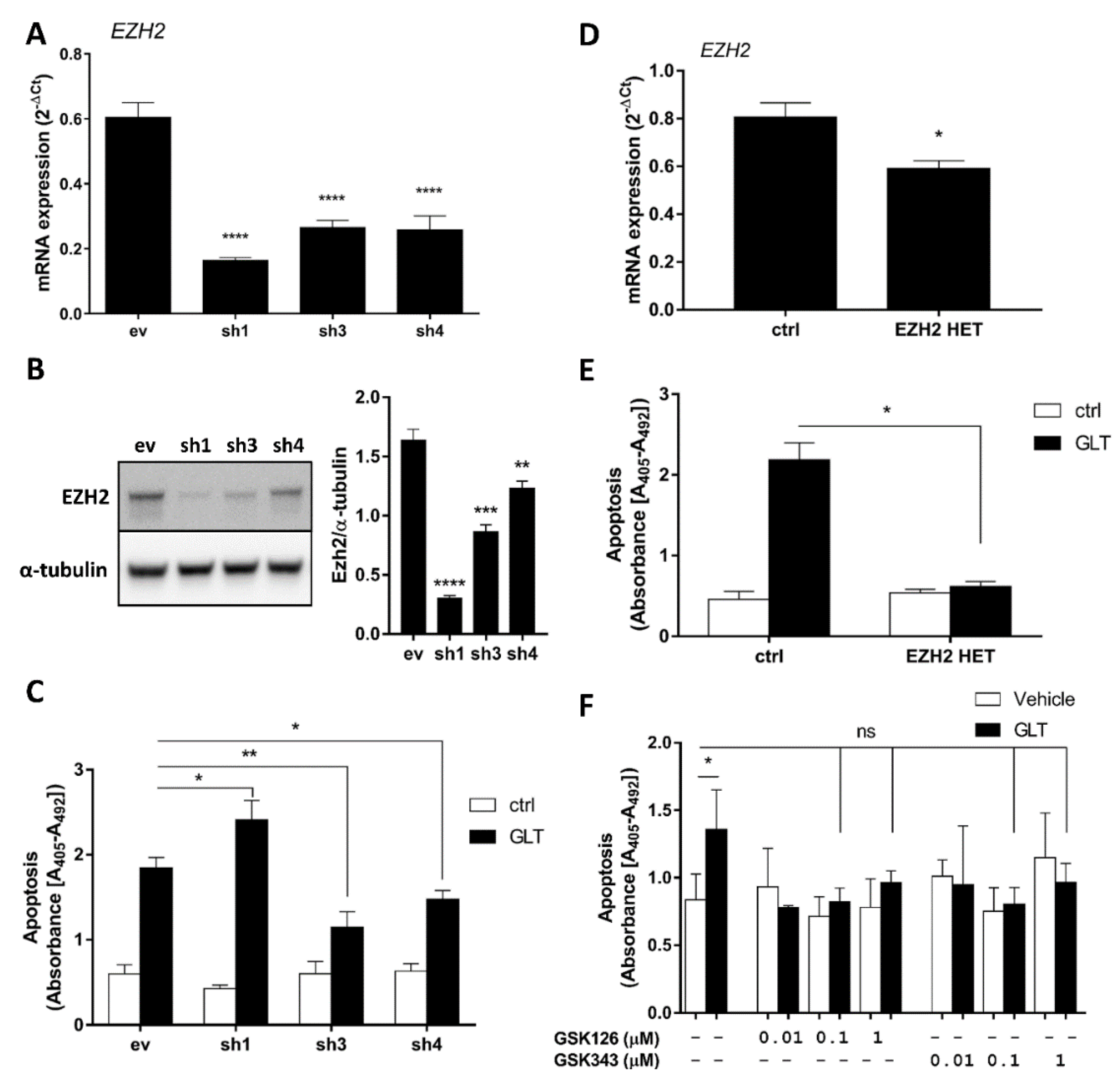 Ijms 21 08016 g002 Ijms 21 08016 g002