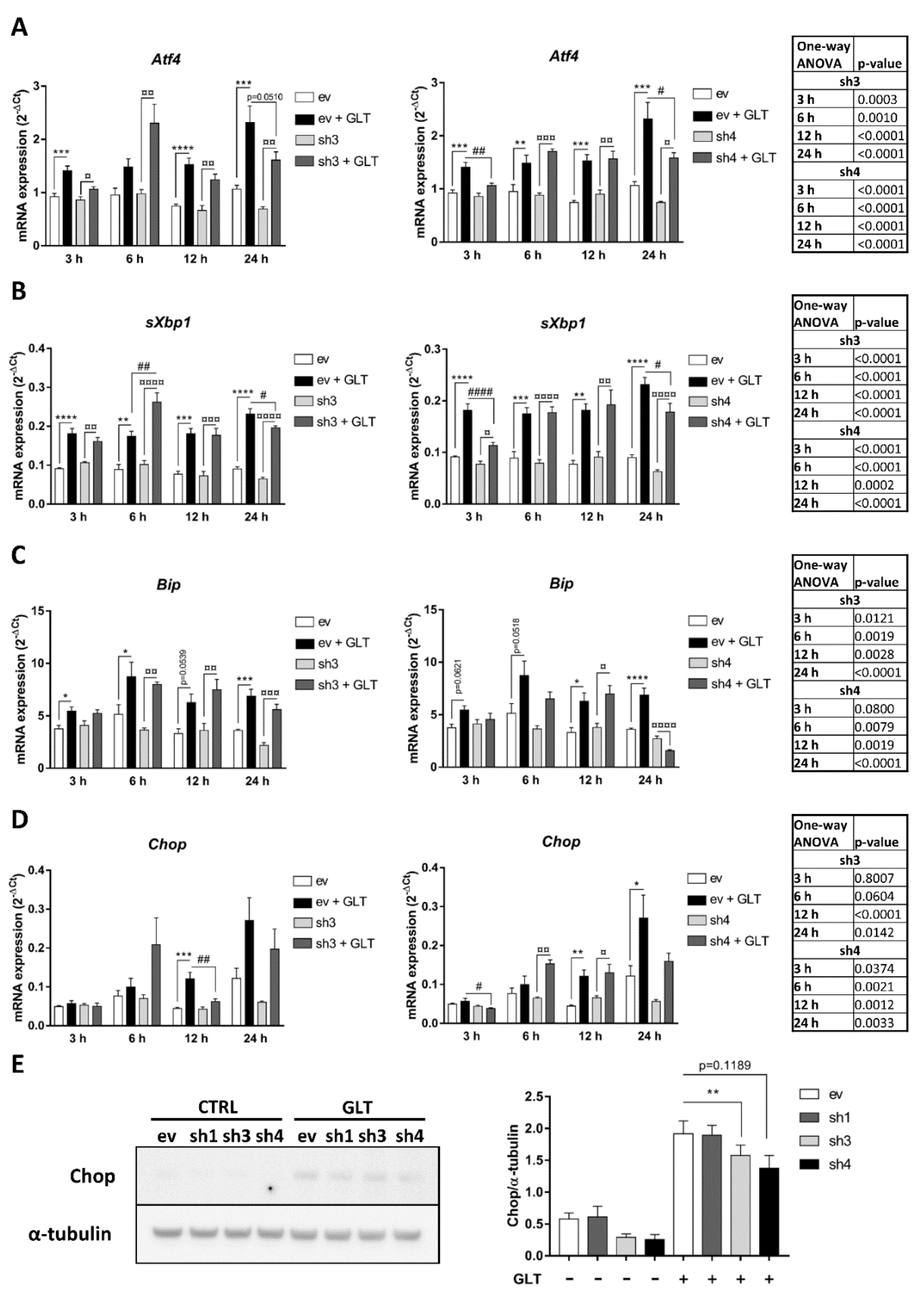 Ijms 21 08016 g003 Ijms 21 08016 g003