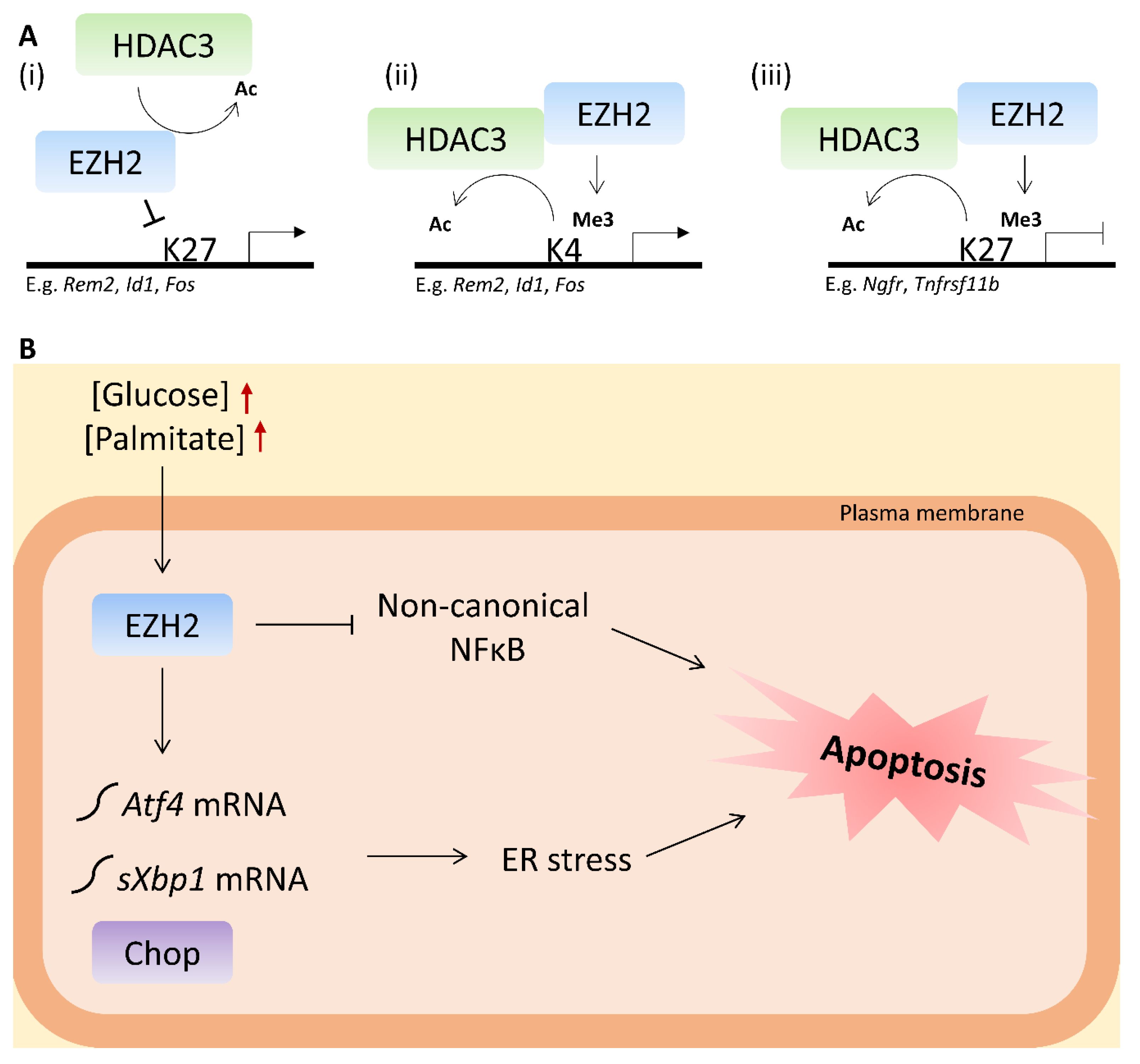 Ijms 21 08016 g006 Ijms 21 08016 g006