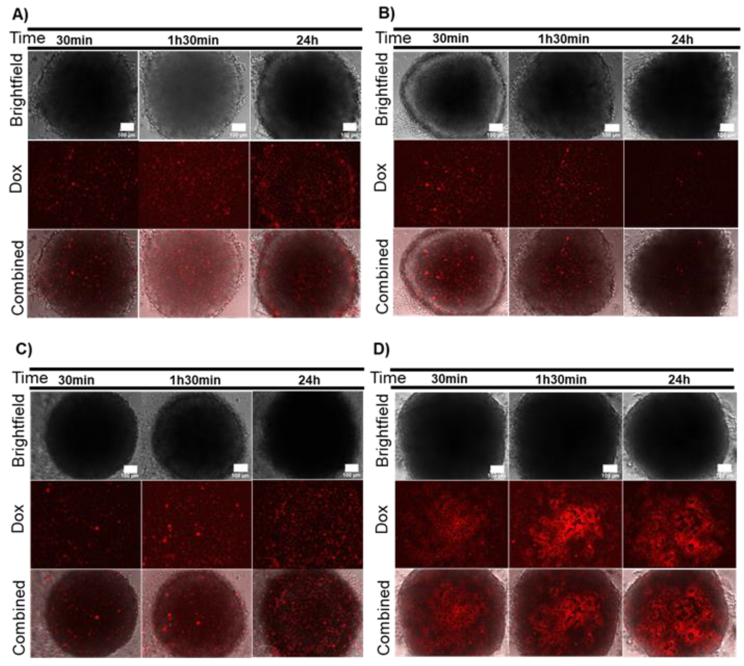 Ijms 21 08017 g006 Ijms 21 08017 g006