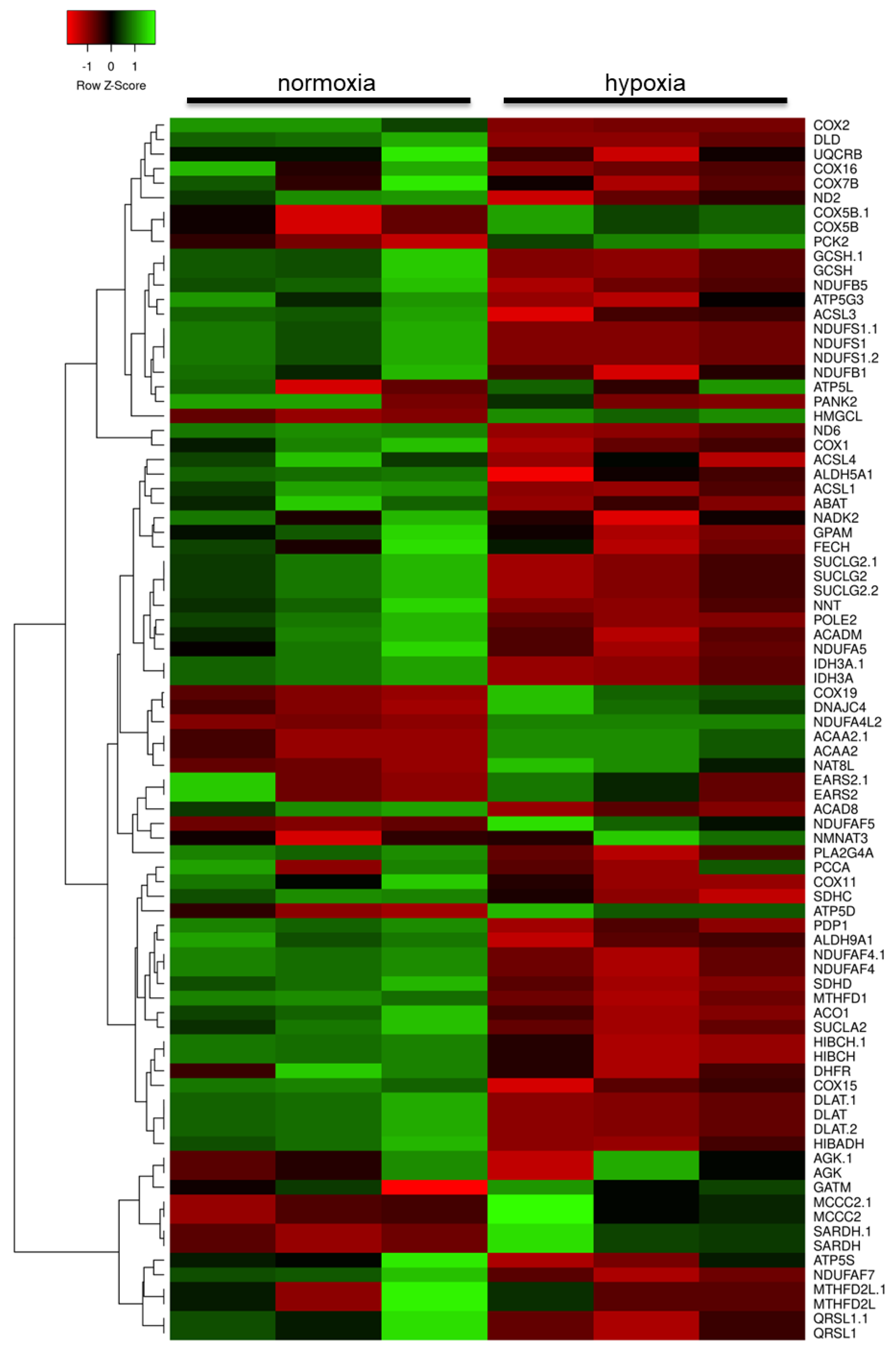 Ijms 21 08028 g002 Ijms 21 08028 g002