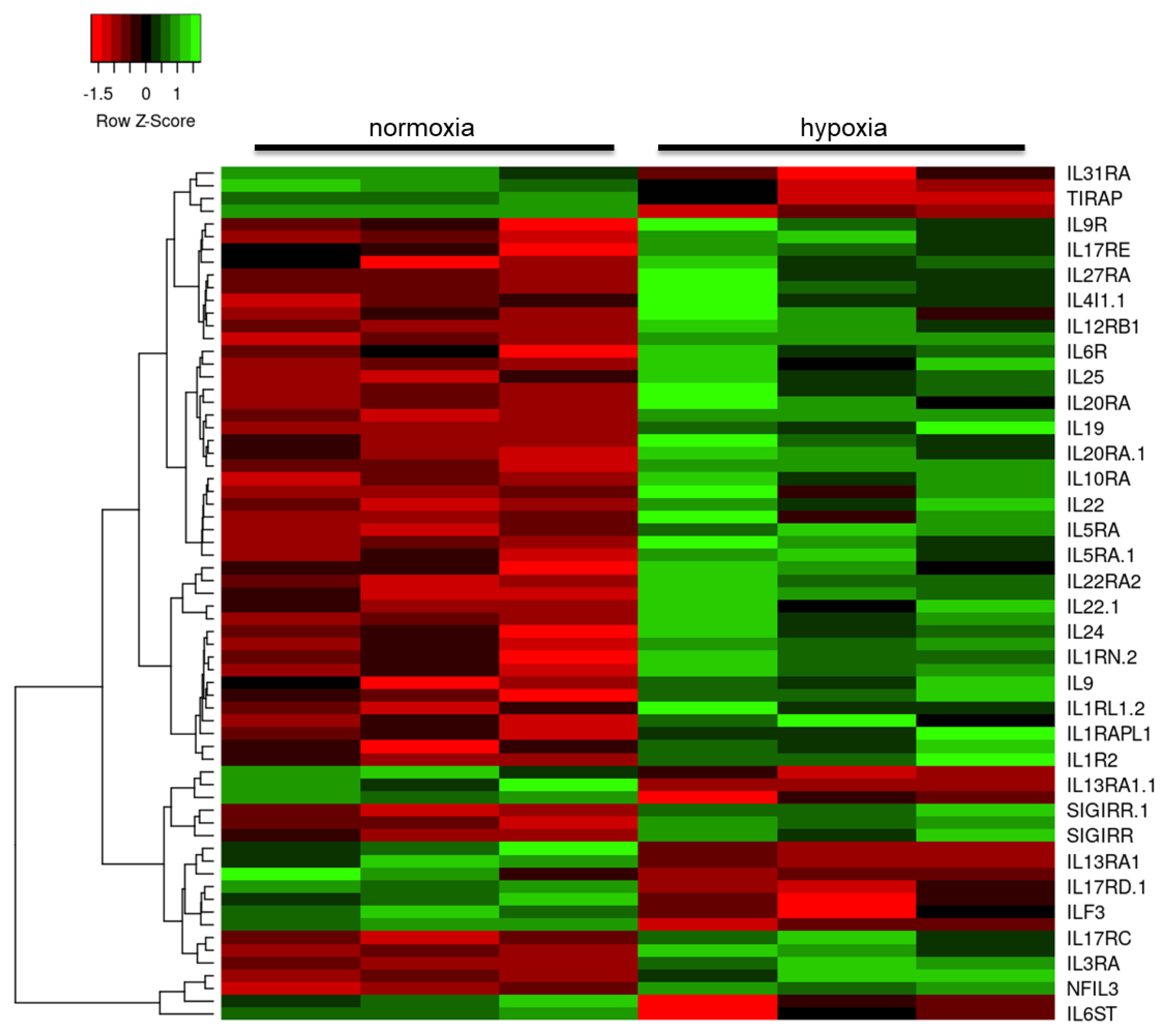 Ijms 21 08028 g003 Ijms 21 08028 g003