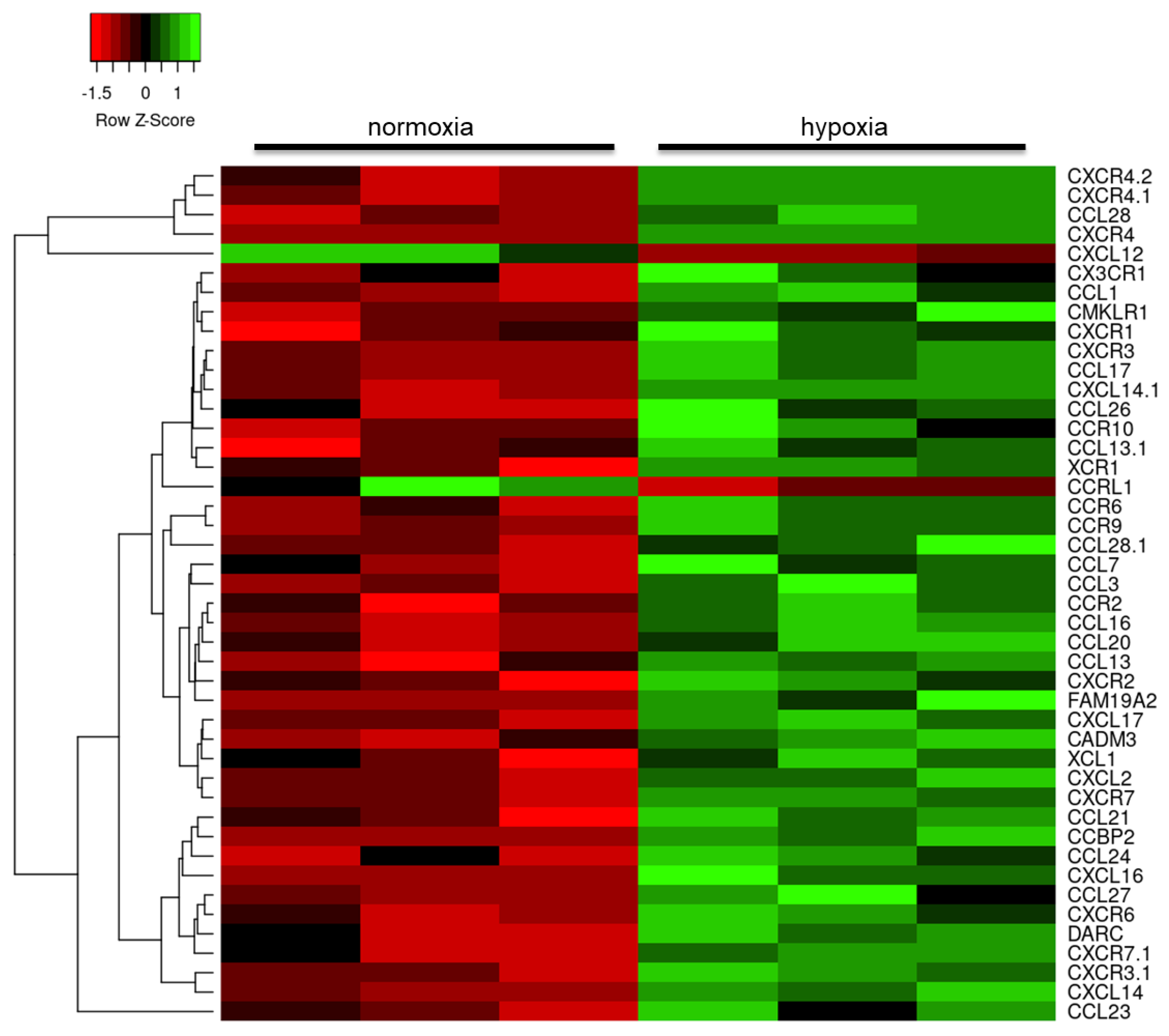 Ijms 21 08028 g004 Ijms 21 08028 g004