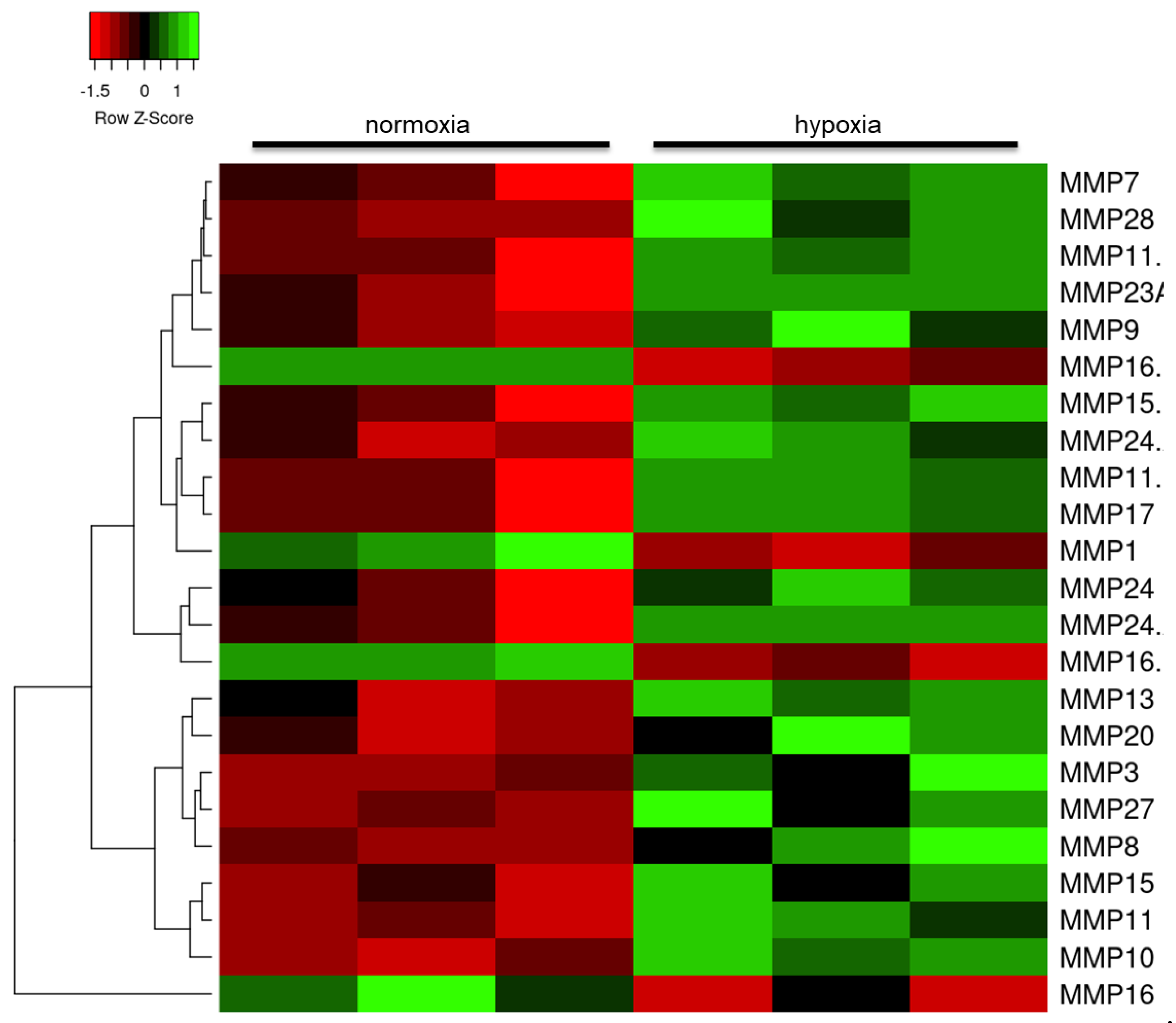 Ijms 21 08028 g005 Ijms 21 08028 g005