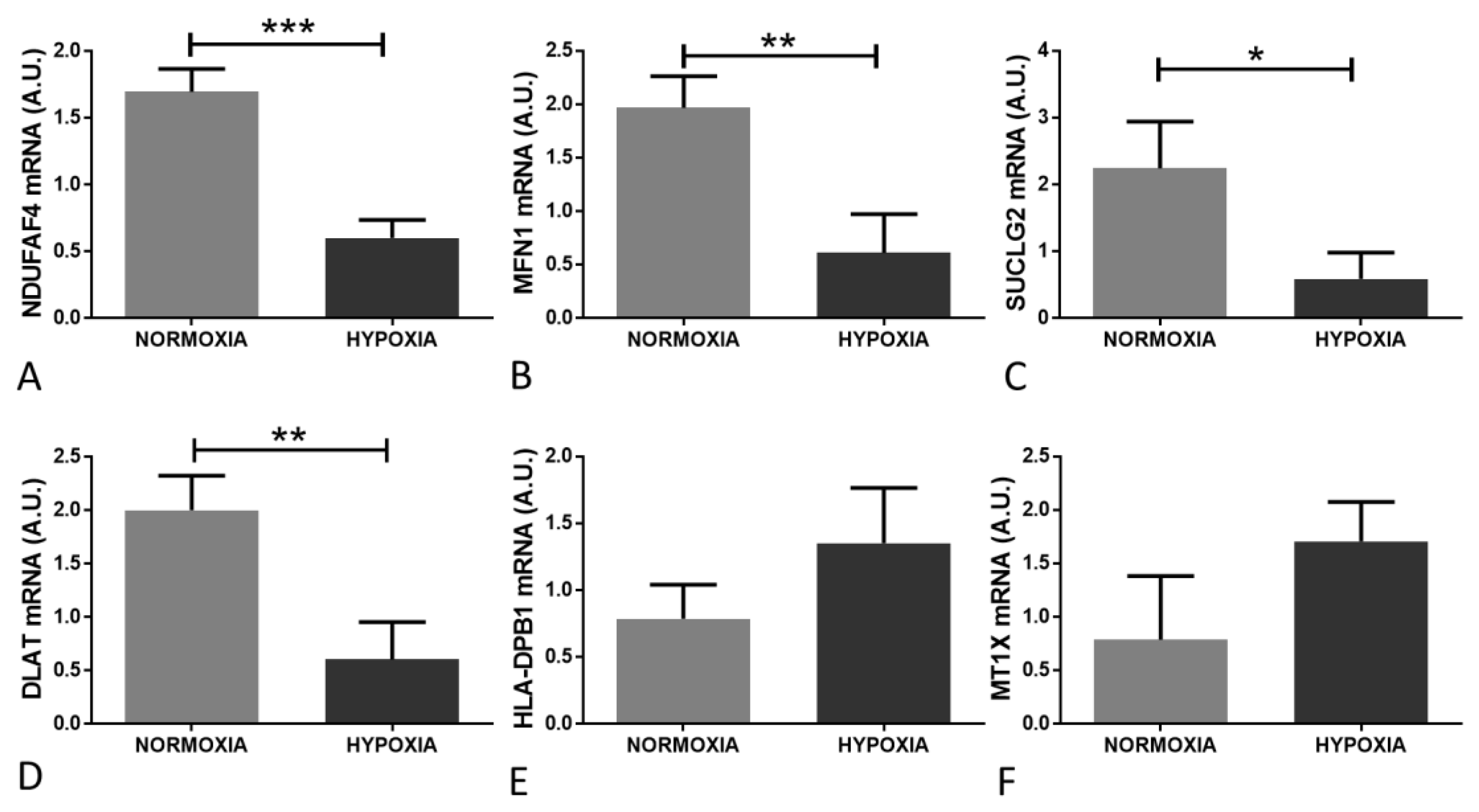 Ijms 21 08028 g006 Ijms 21 08028 g006
