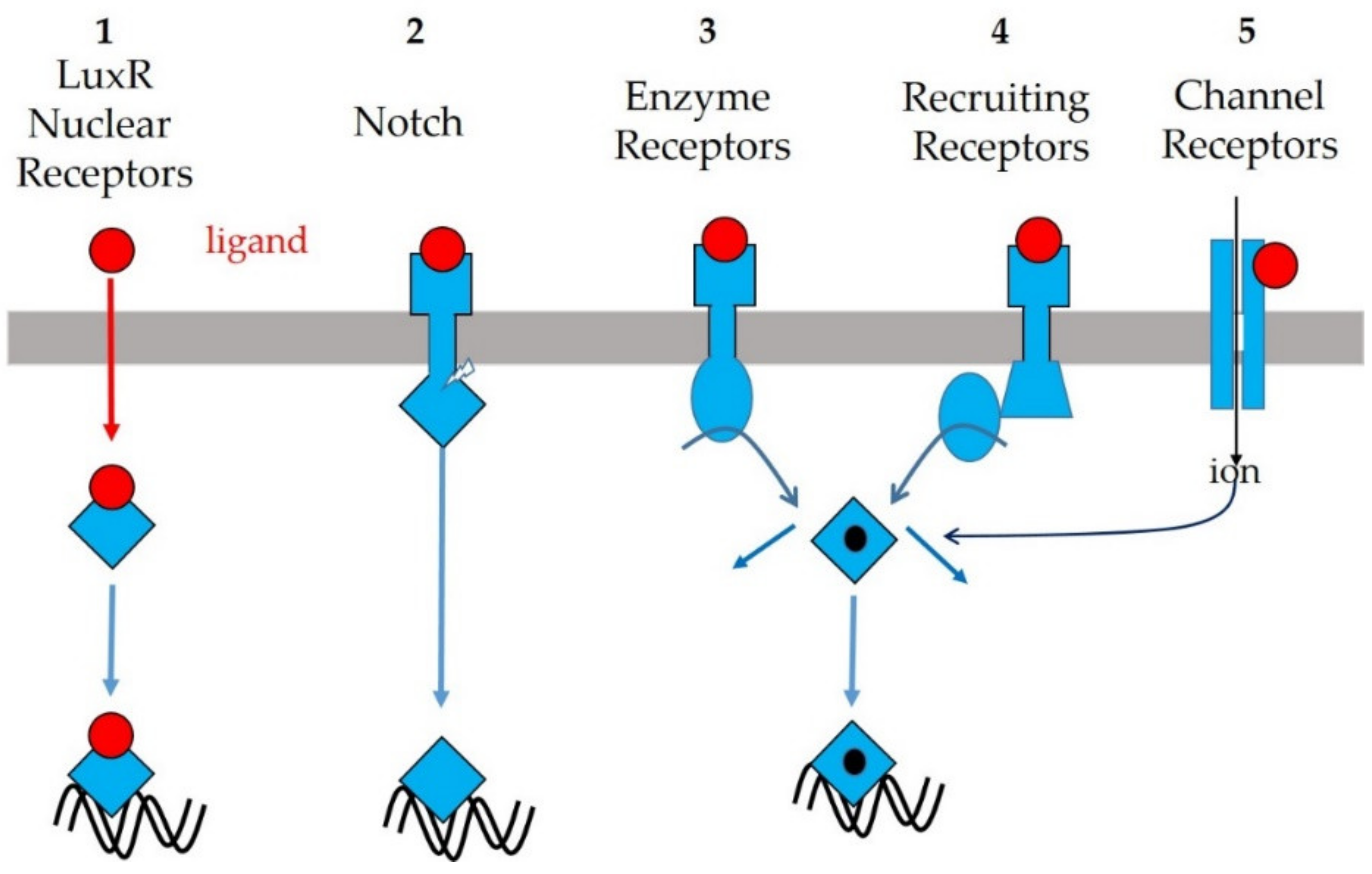 IJMS  Free Full-Text  Cell Communications among Microorganisms 