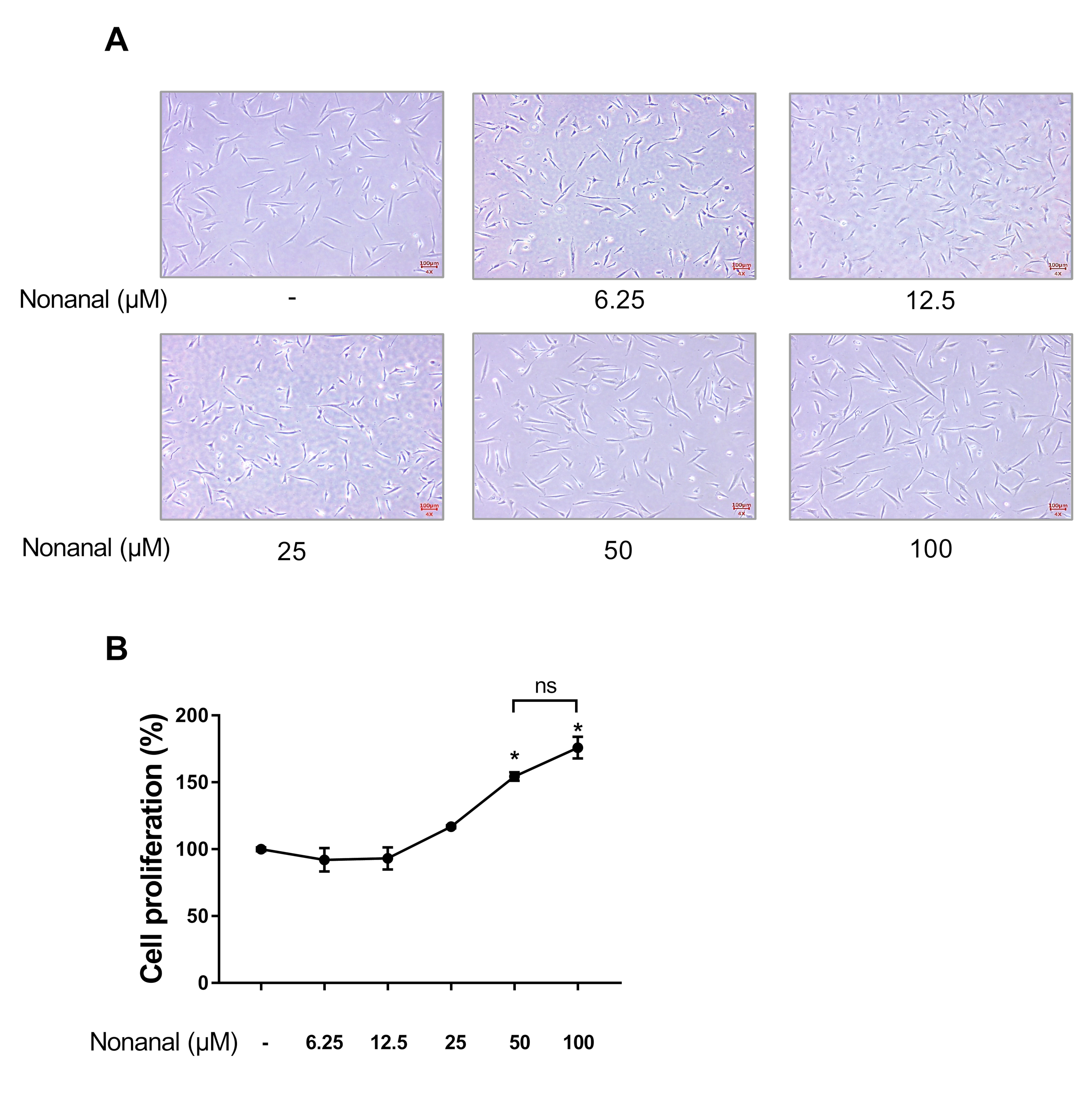 Ijms Free Full Text Nonanal Stimulates Growth Factors Via Cyclic Adenosine Monophosphate Camp Signaling In Human Hair Follicle Dermal Papilla Cells Html