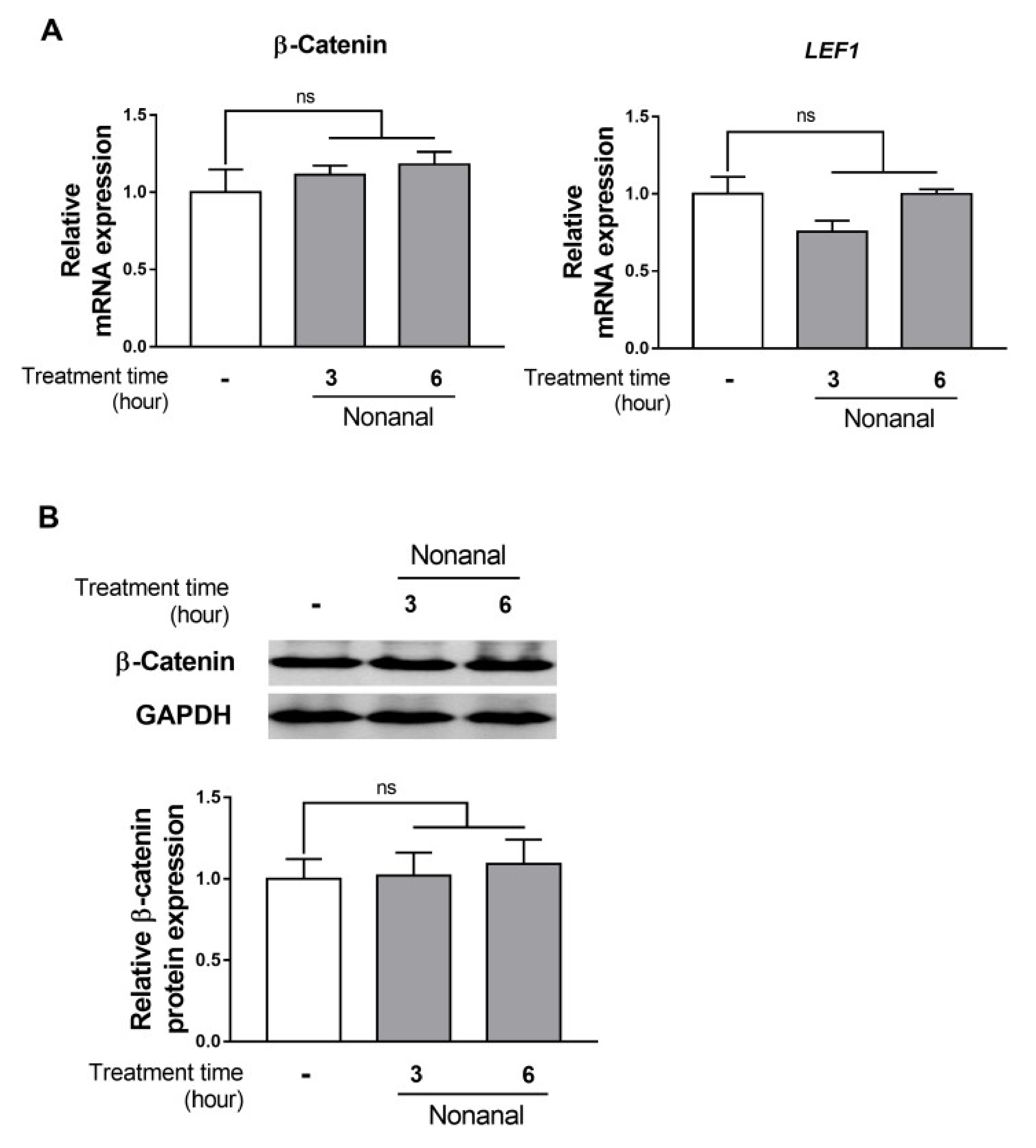 Ijms 21 08054 g003 Ijms 21 08054 g003