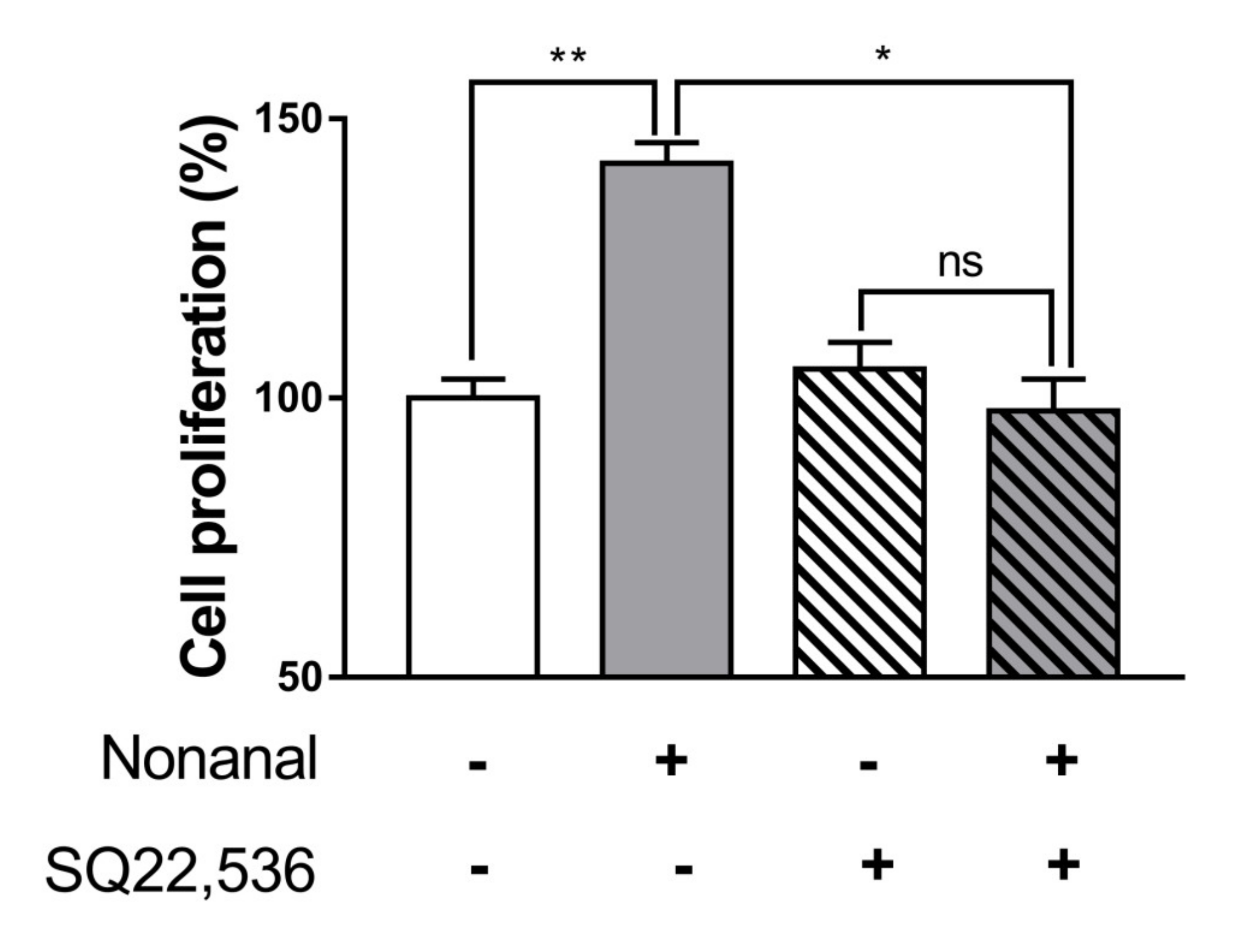 Ijms 21 08054 g005 Ijms 21 08054 g005