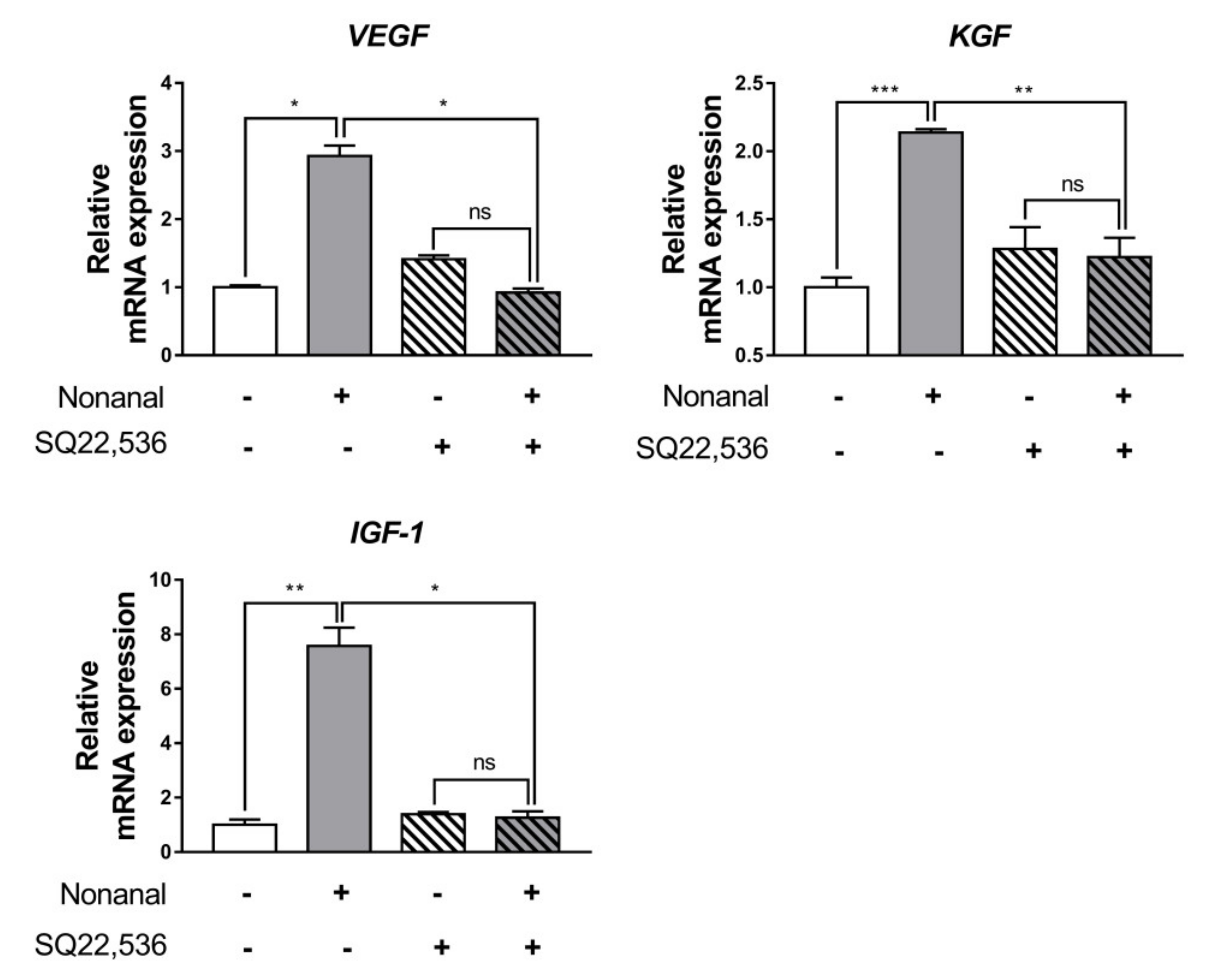 Ijms 21 08054 g006 Ijms 21 08054 g006