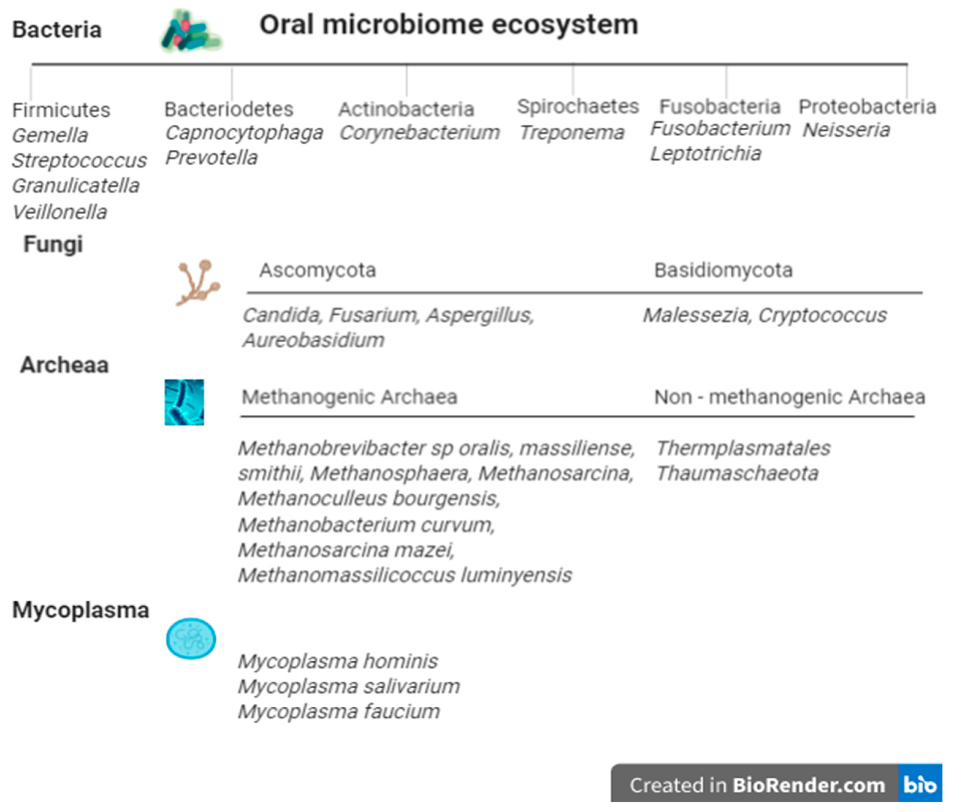 Ijms Free Full Text The Role Of The Microbiome In Oral Squamous Cell Carcinoma With Insight Into The Microbiome Treatment Axis Html