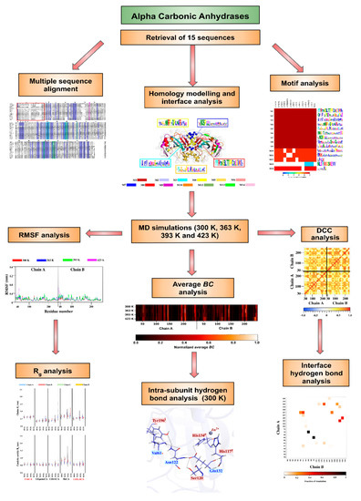 Ijms Free Full Text Alpha Carbonic Anhydrases From Hydrothermal Vent Sources As Potential Carbon Dioxide Sequestration Agents In Silico Sequence Structure And Dynamics Analyses Html