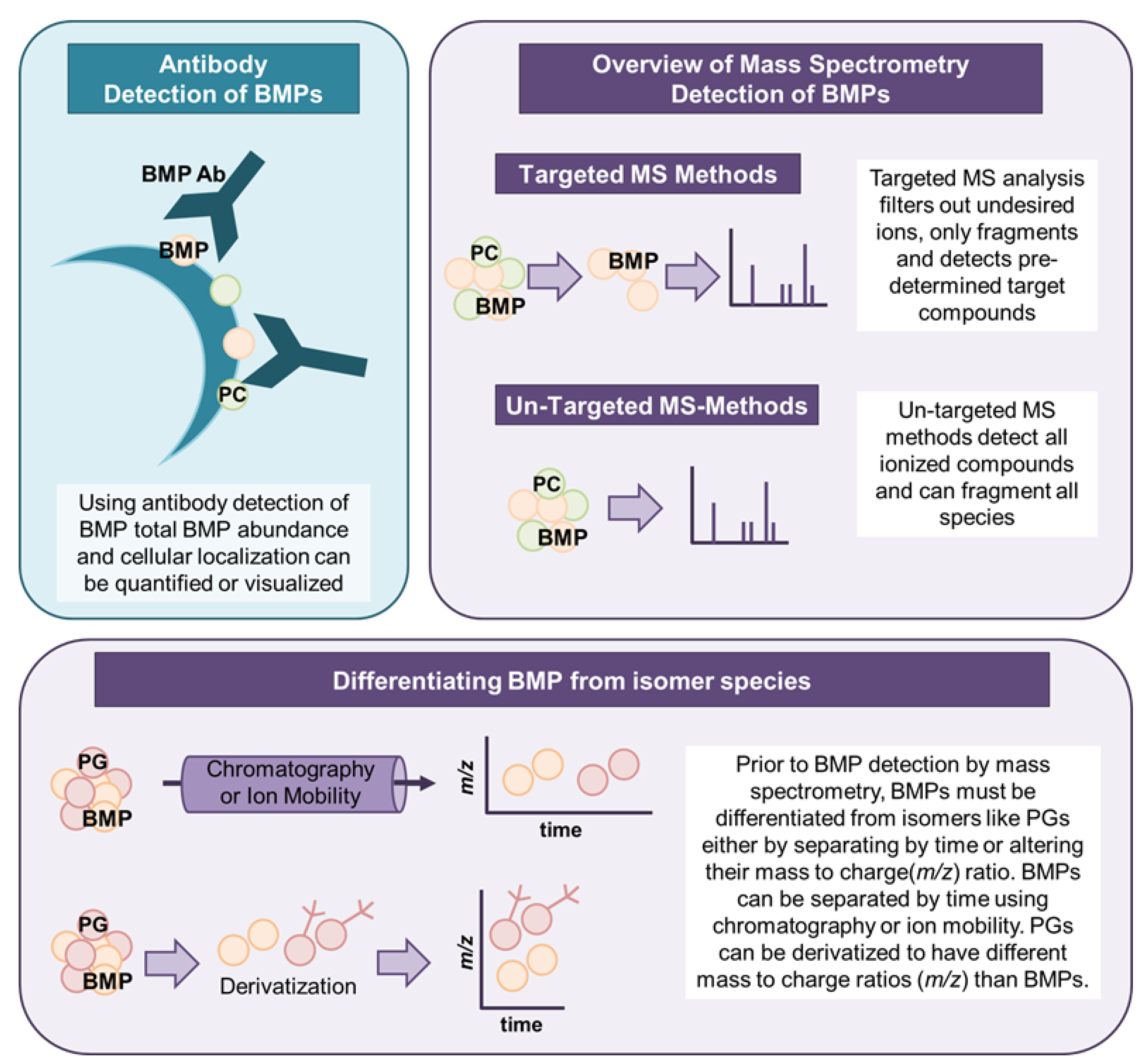 Ijms 21 08067 g002 Ijms 21 08067 g002