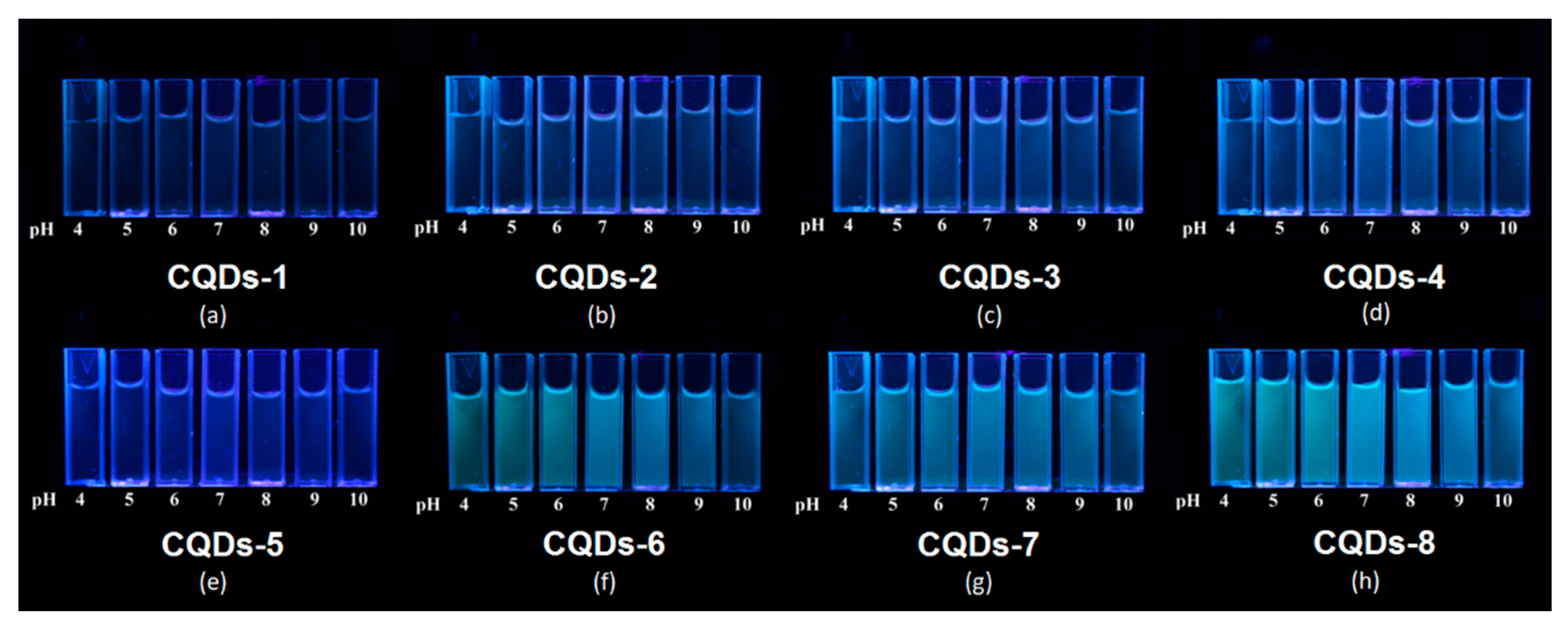 Ijms 21 08073 g010 Ijms 21 08073 g010