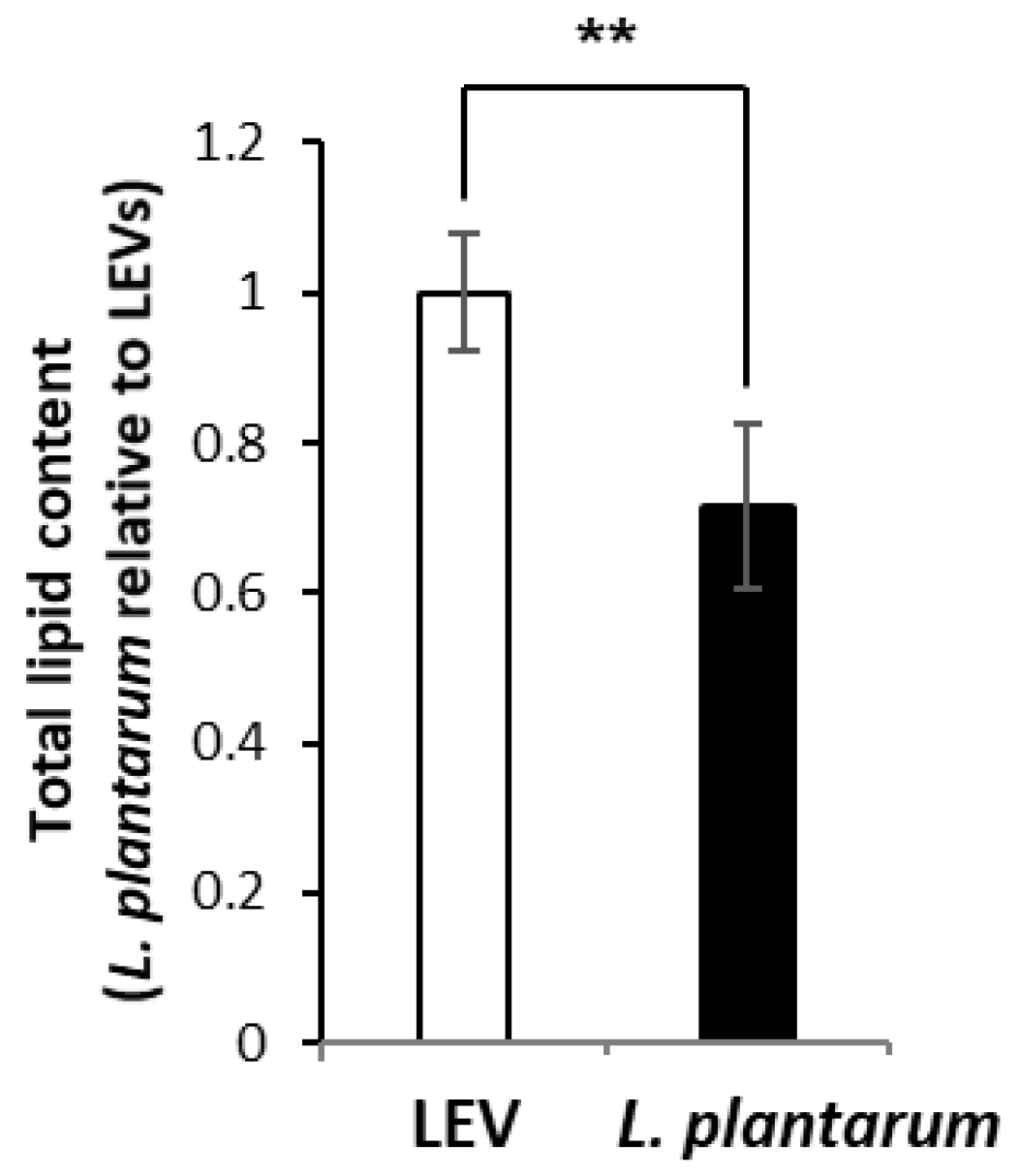 Ijms 21 08076 g003 Ijms 21 08076 g003