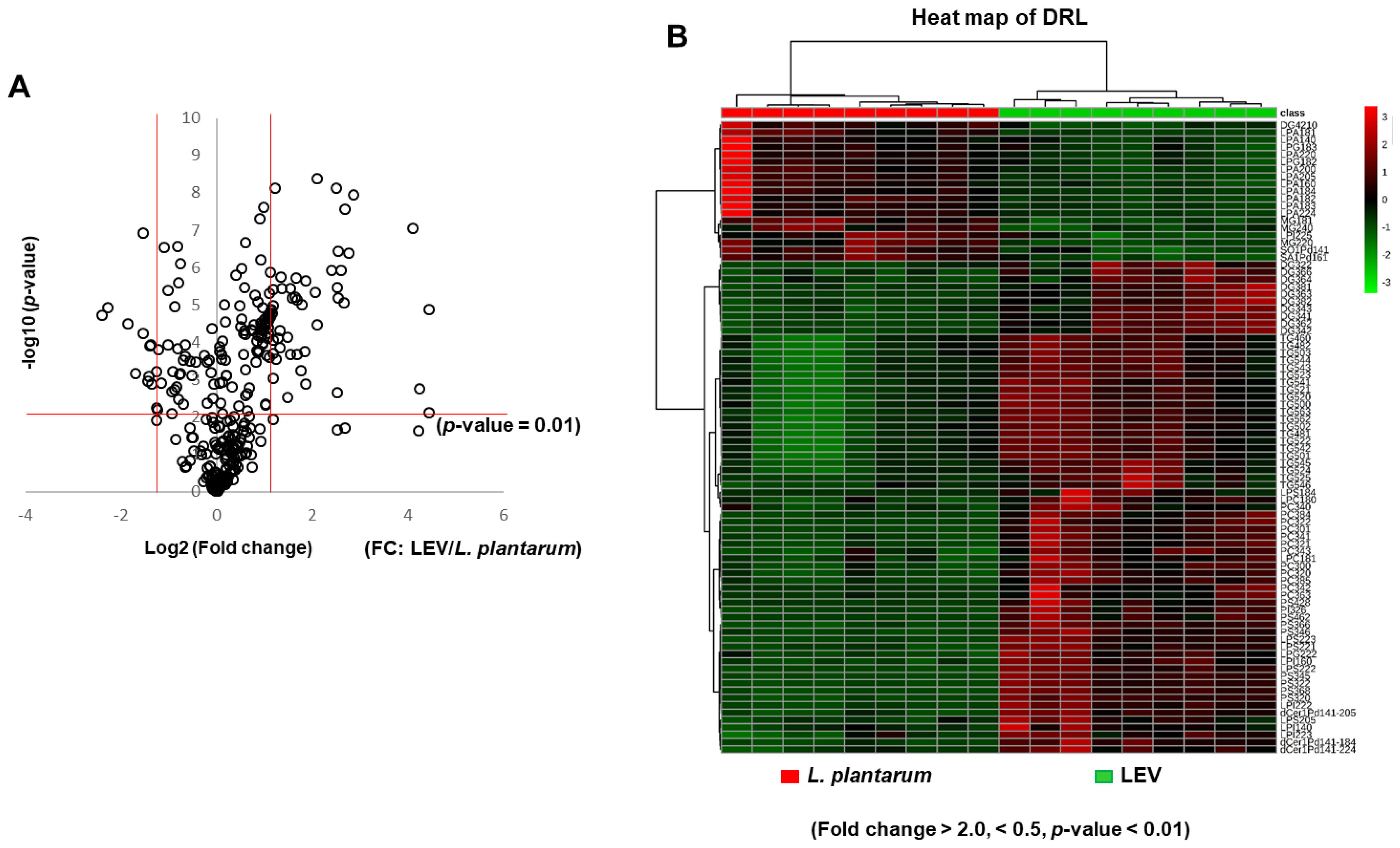 Ijms 21 08076 g004 Ijms 21 08076 g004