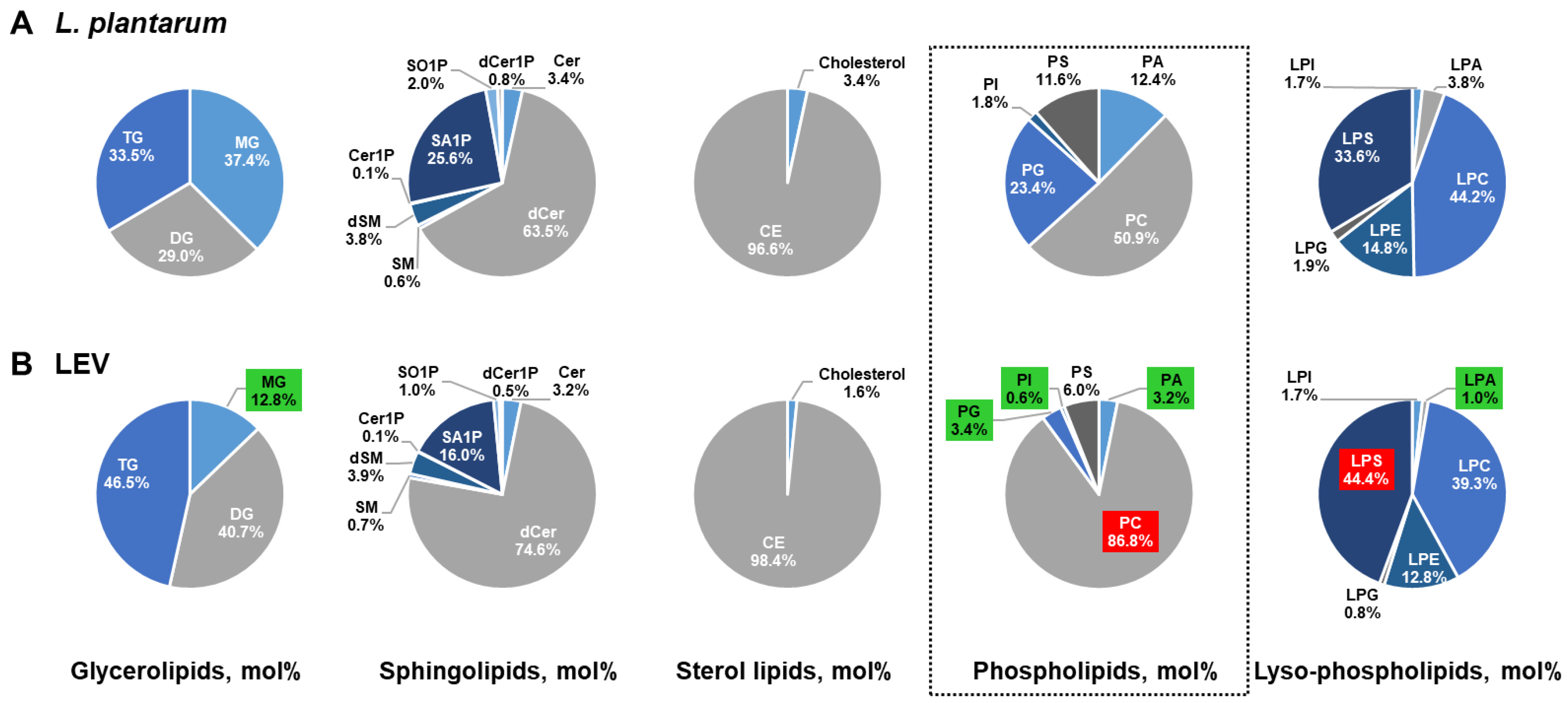 Ijms 21 08076 g005 Ijms 21 08076 g005