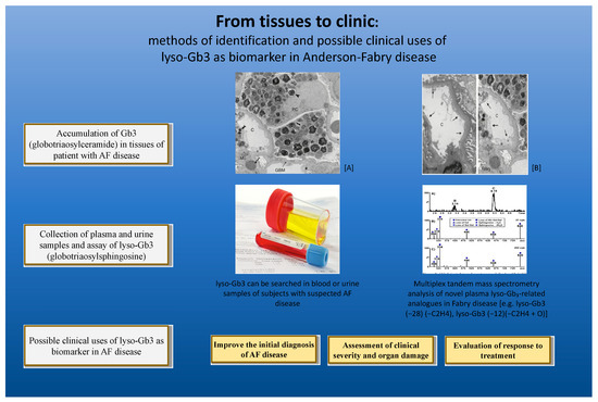 Ijms Special Issue Biomarkers In Rare Diseases