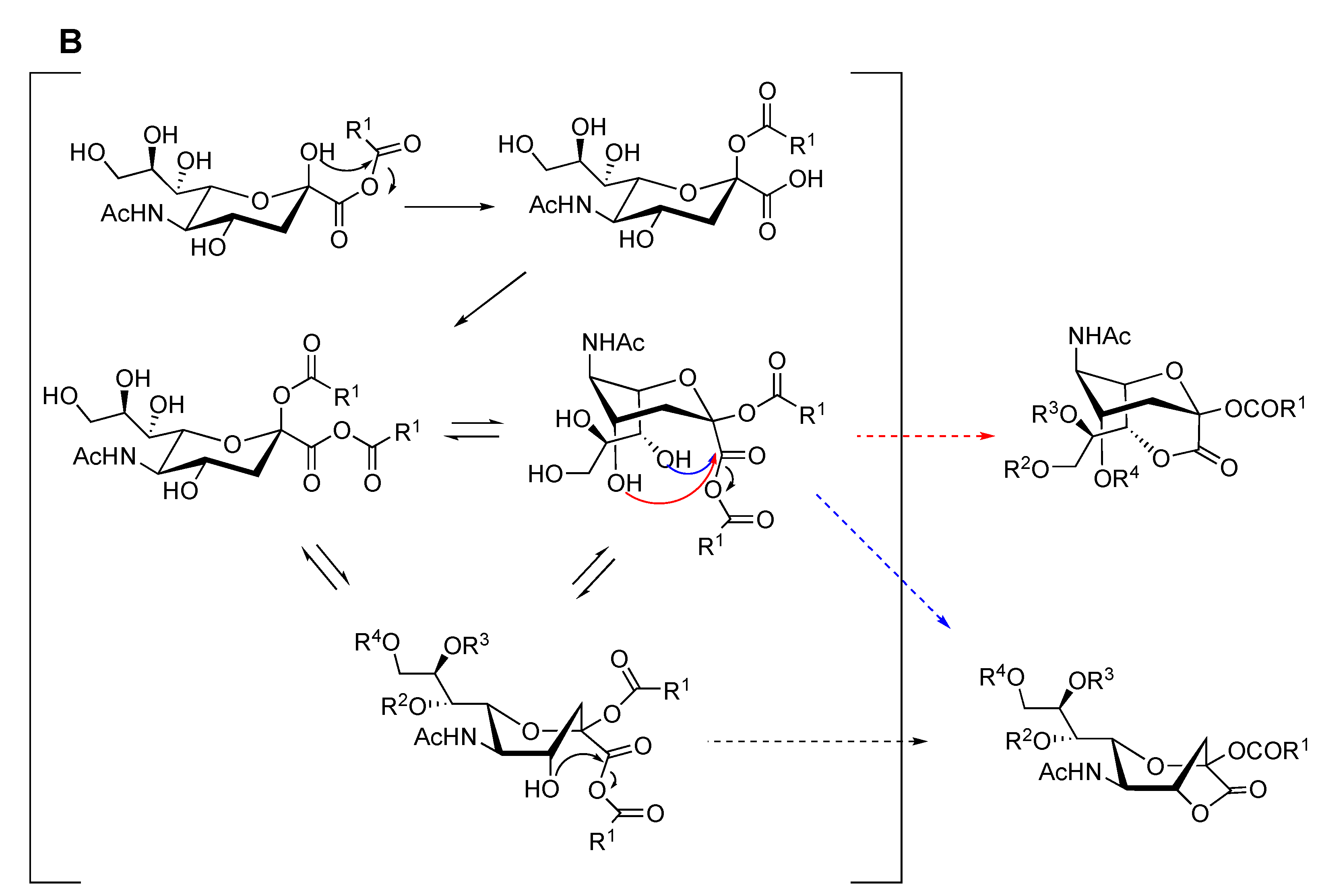 Ijms 21 08098 sch003b