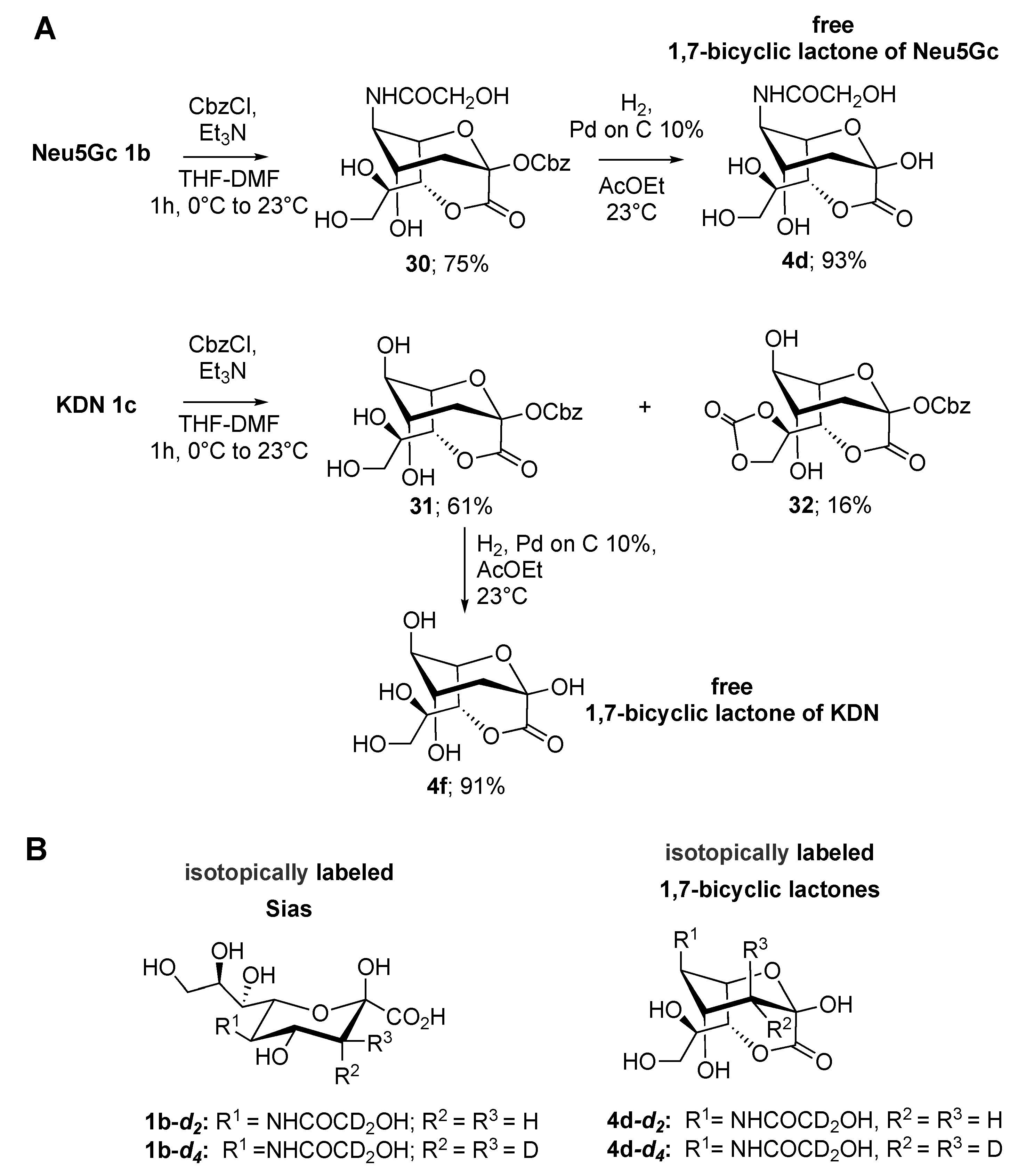 Ijms 21 08098 sch008