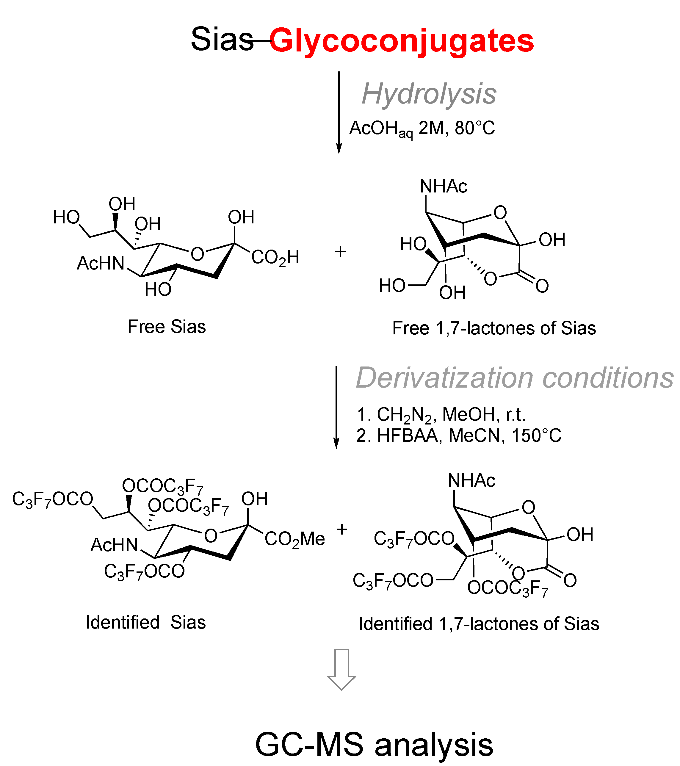 Ijms 21 08098 sch015
