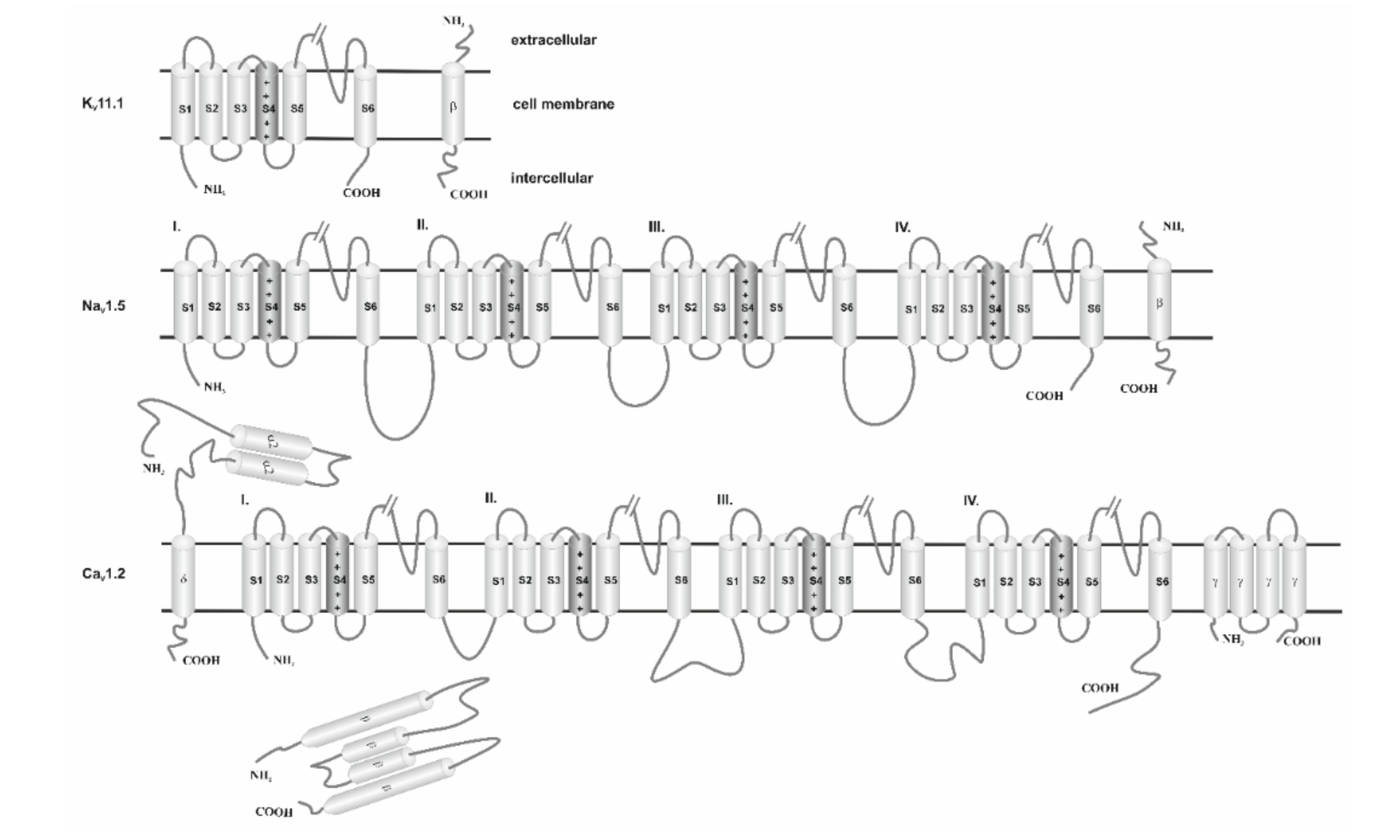 Ijms 21 08099 g002 Ijms 21 08099 g002