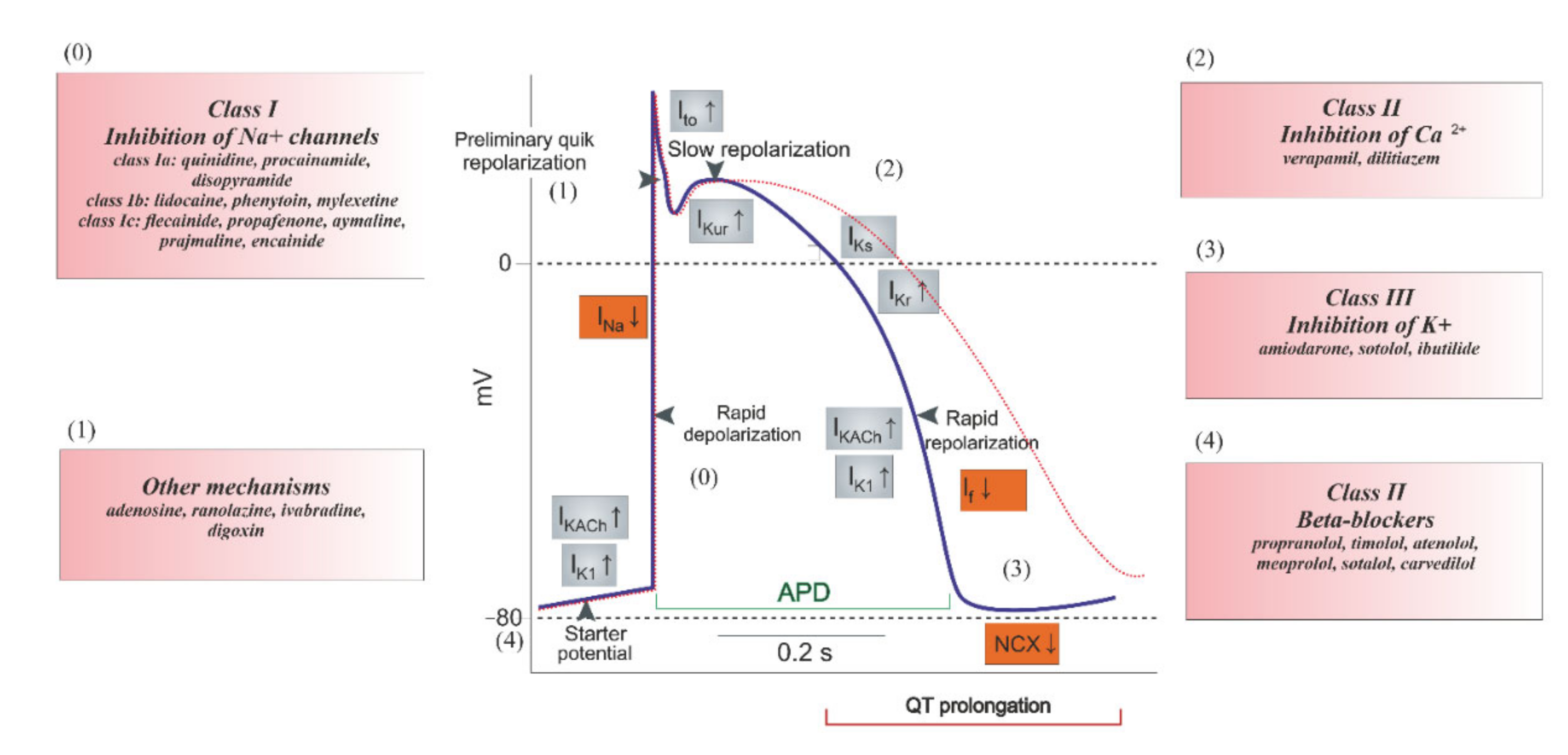 Ijms 21 08099 g003 Ijms 21 08099 g003