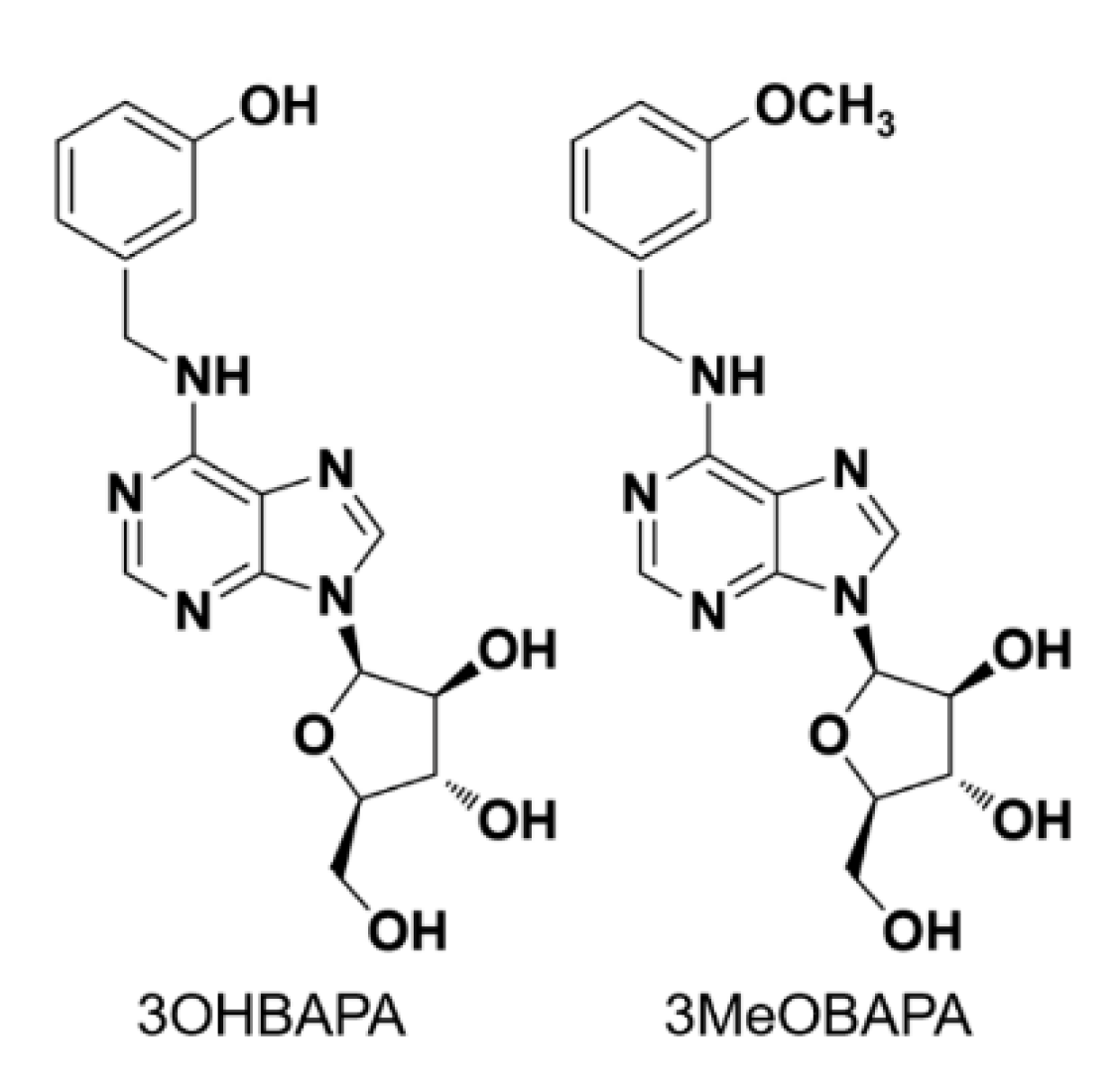 Ijms 21 08109 g001