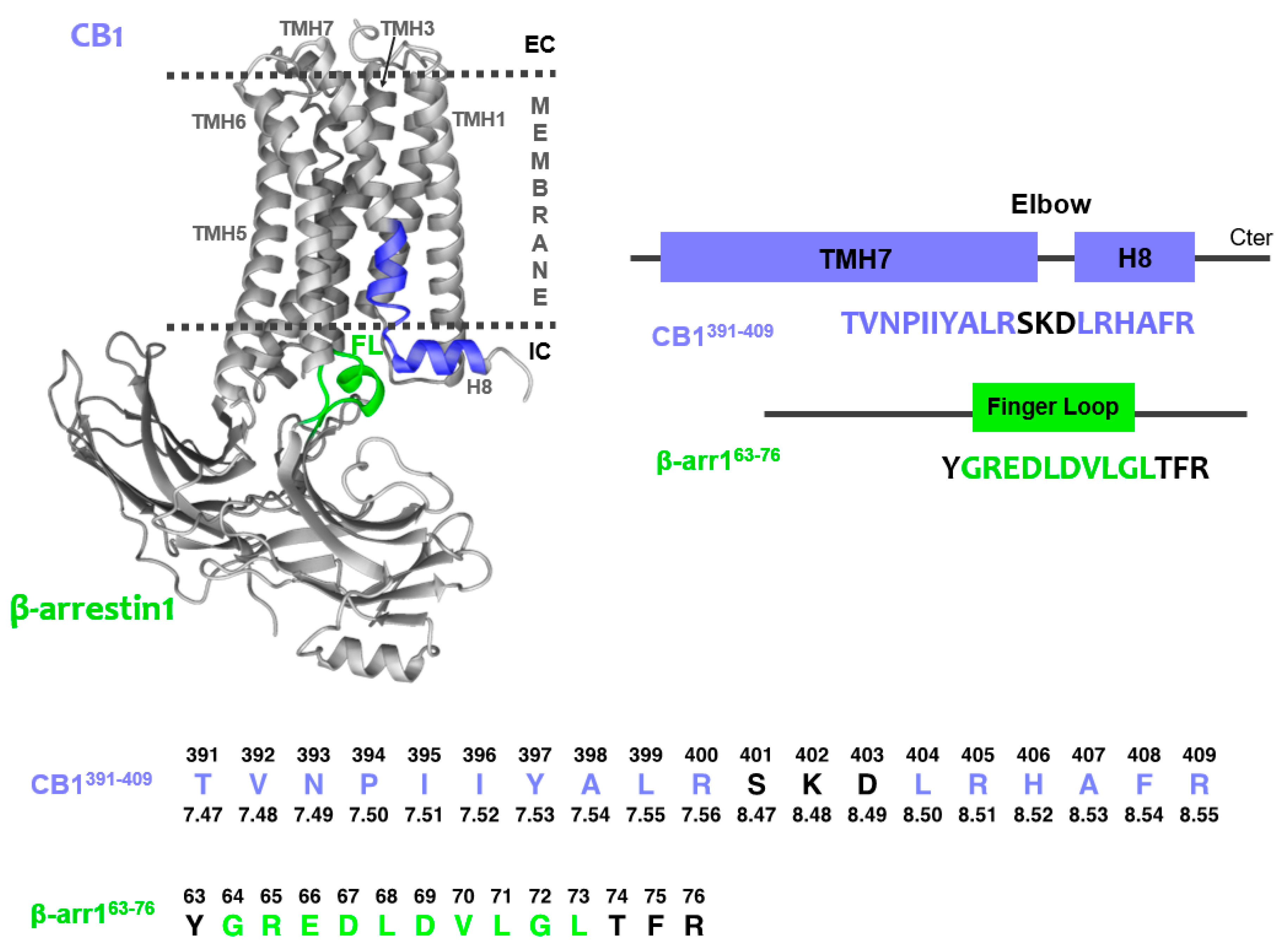 Ijms 21 08111 g001 Ijms 21 08111 g001