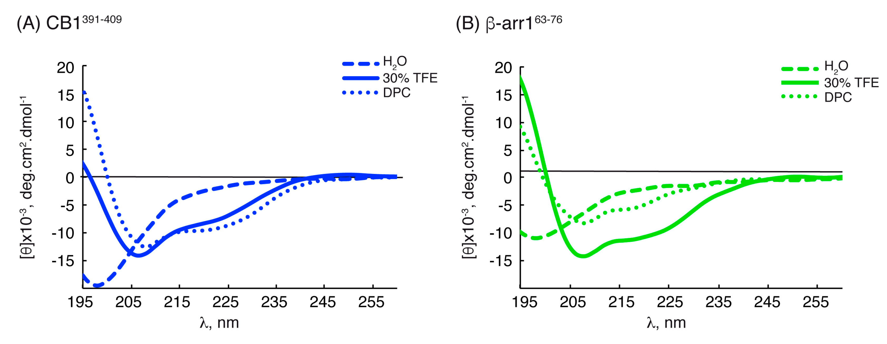 Ijms 21 08111 g002 Ijms 21 08111 g002