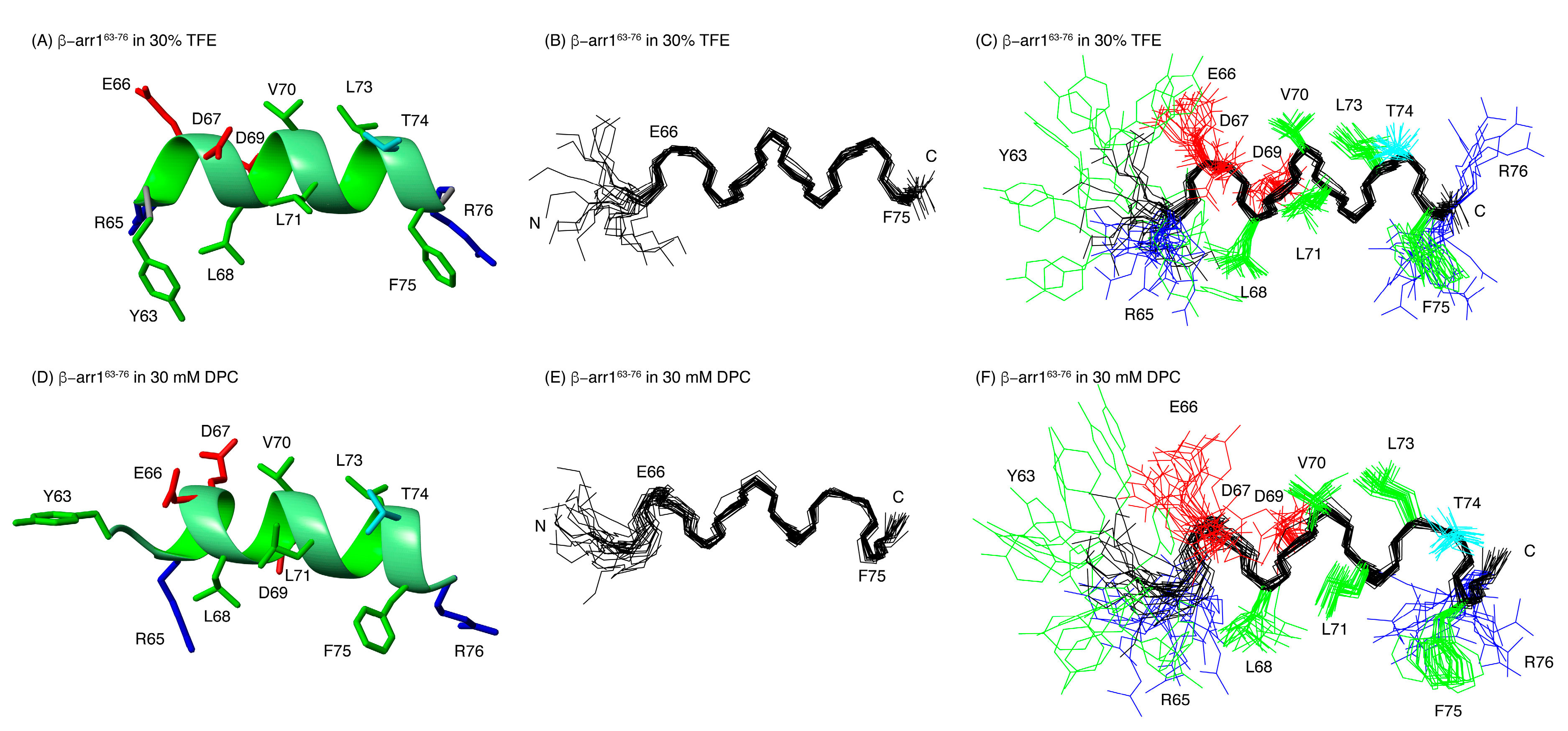 Ijms 21 08111 g005 Ijms 21 08111 g005