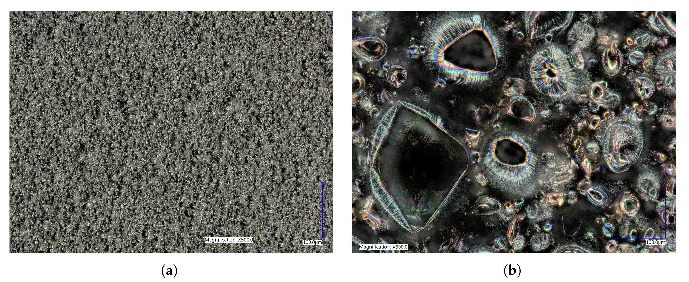 Ijms 21 08114 g005 Ijms 21 08114 g005