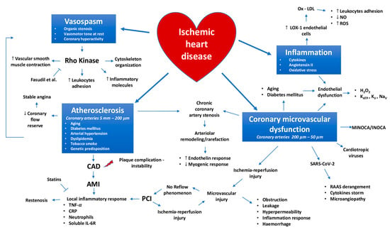 ischemic heart disease research paper