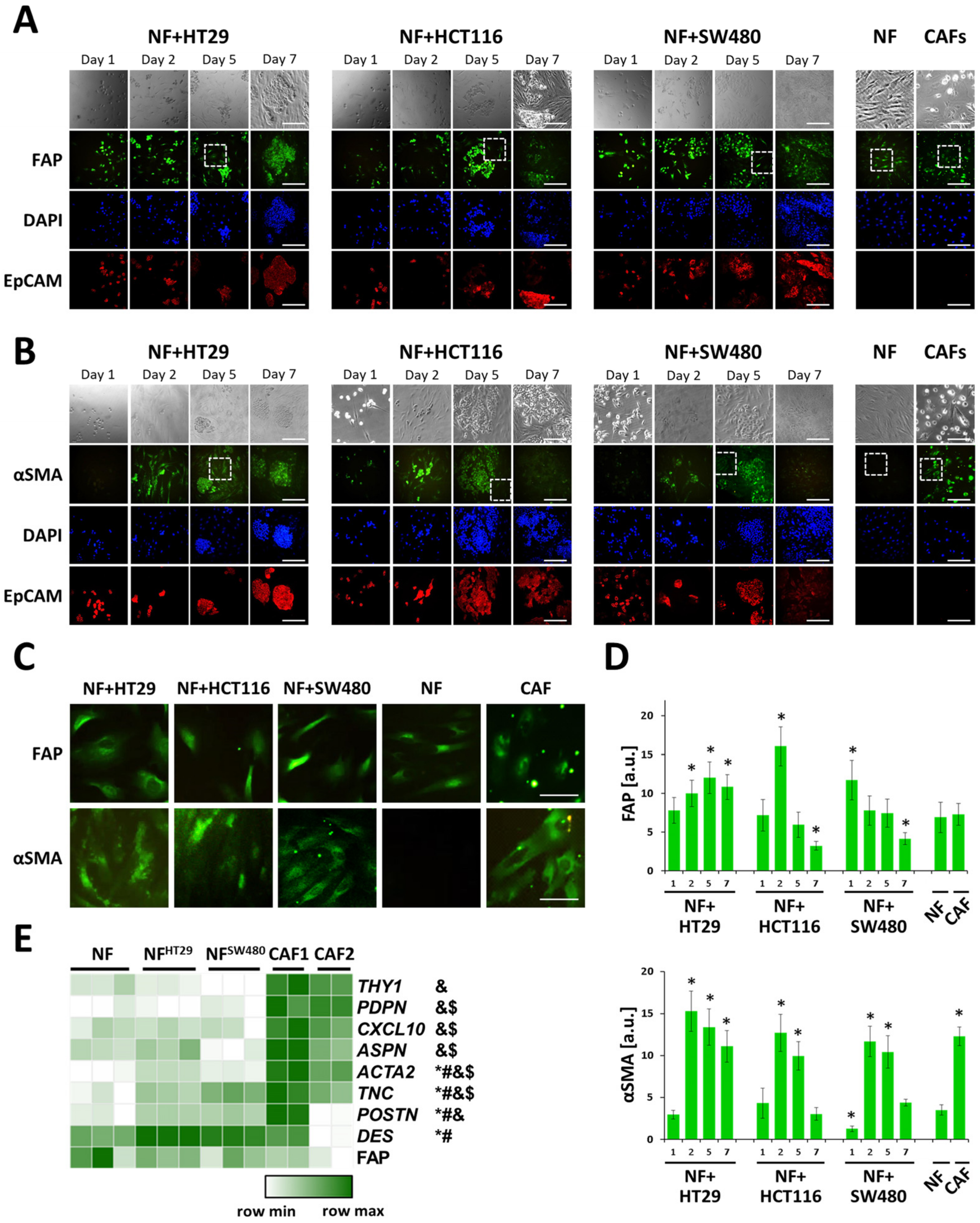 Ijms 21 08119 g002 Ijms 21 08119 g002