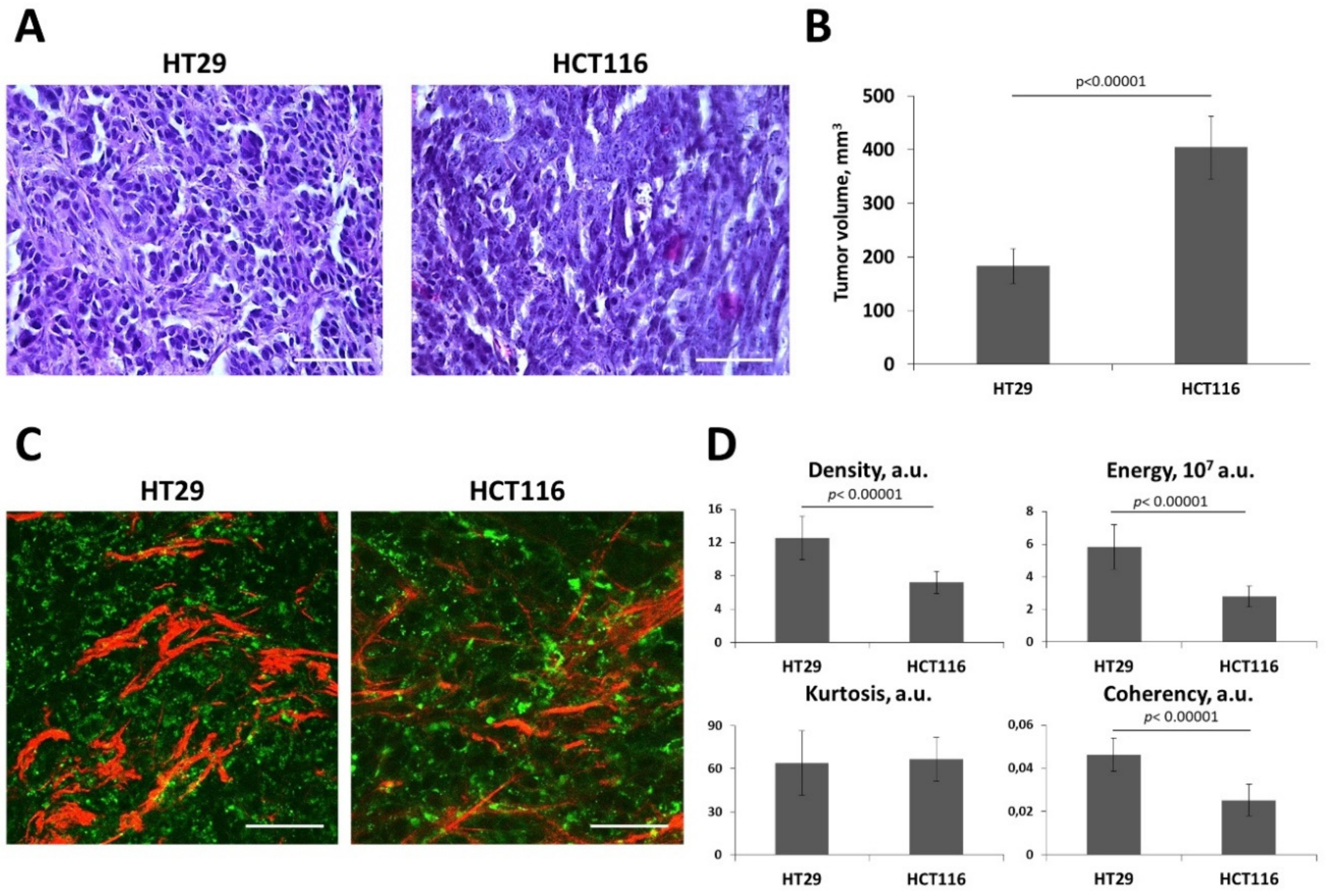 Ijms 21 08119 g006 Ijms 21 08119 g006