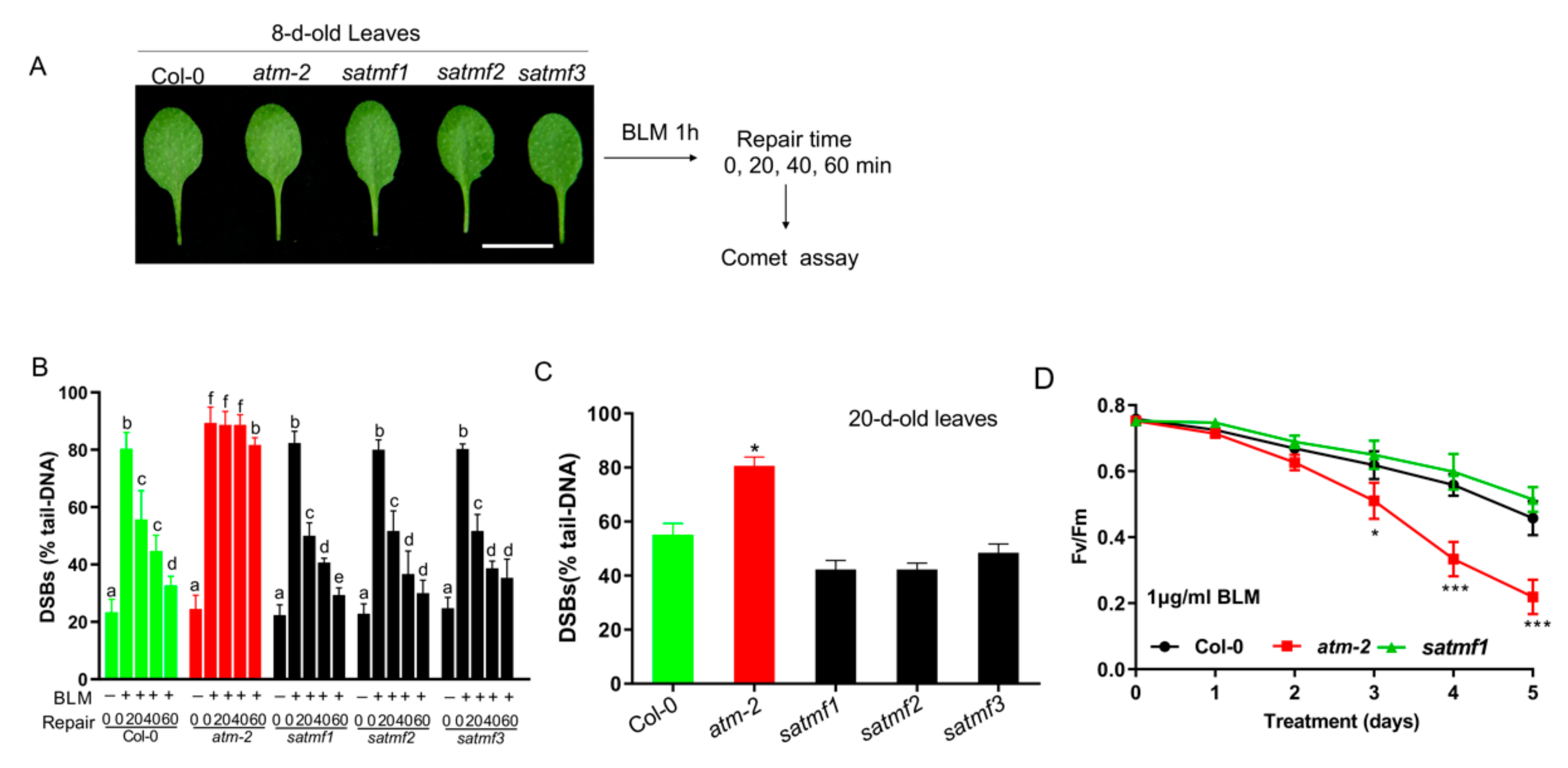 Ijms 21 08120 g003 Ijms 21 08120 g003