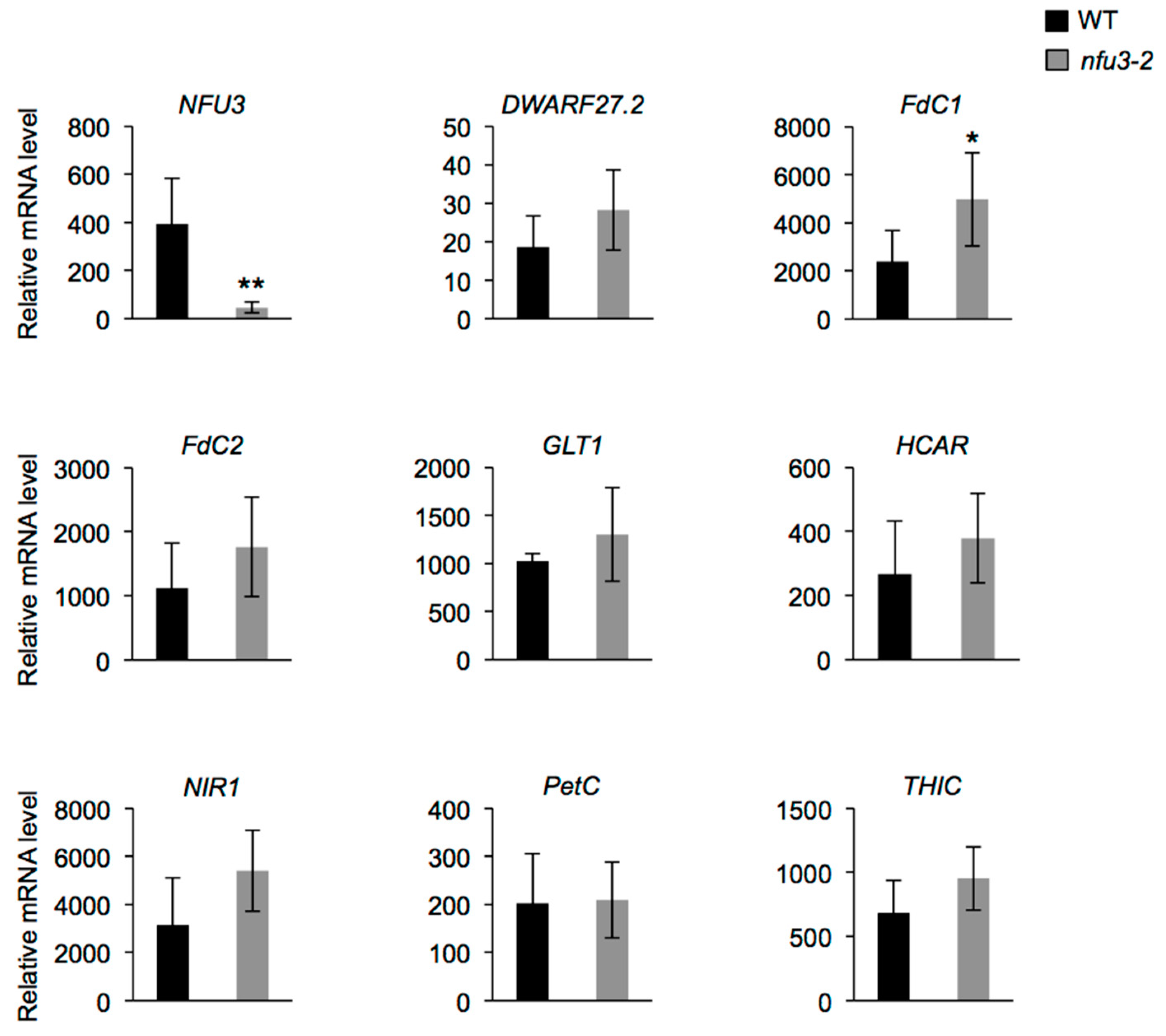 Ijms 21 08121 g006 Ijms 21 08121 g006