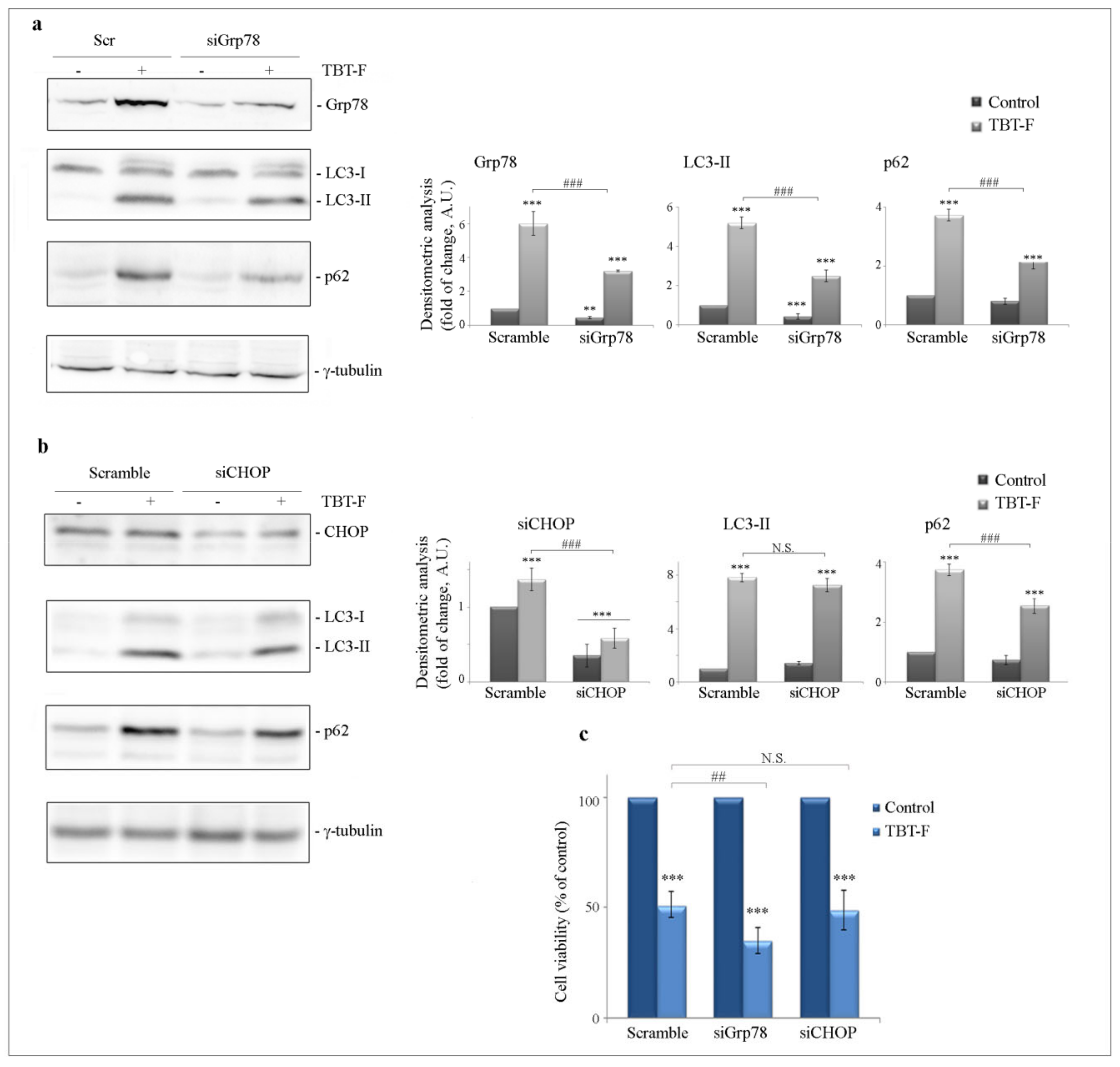Ijms 21 08135 g006 Ijms 21 08135 g006